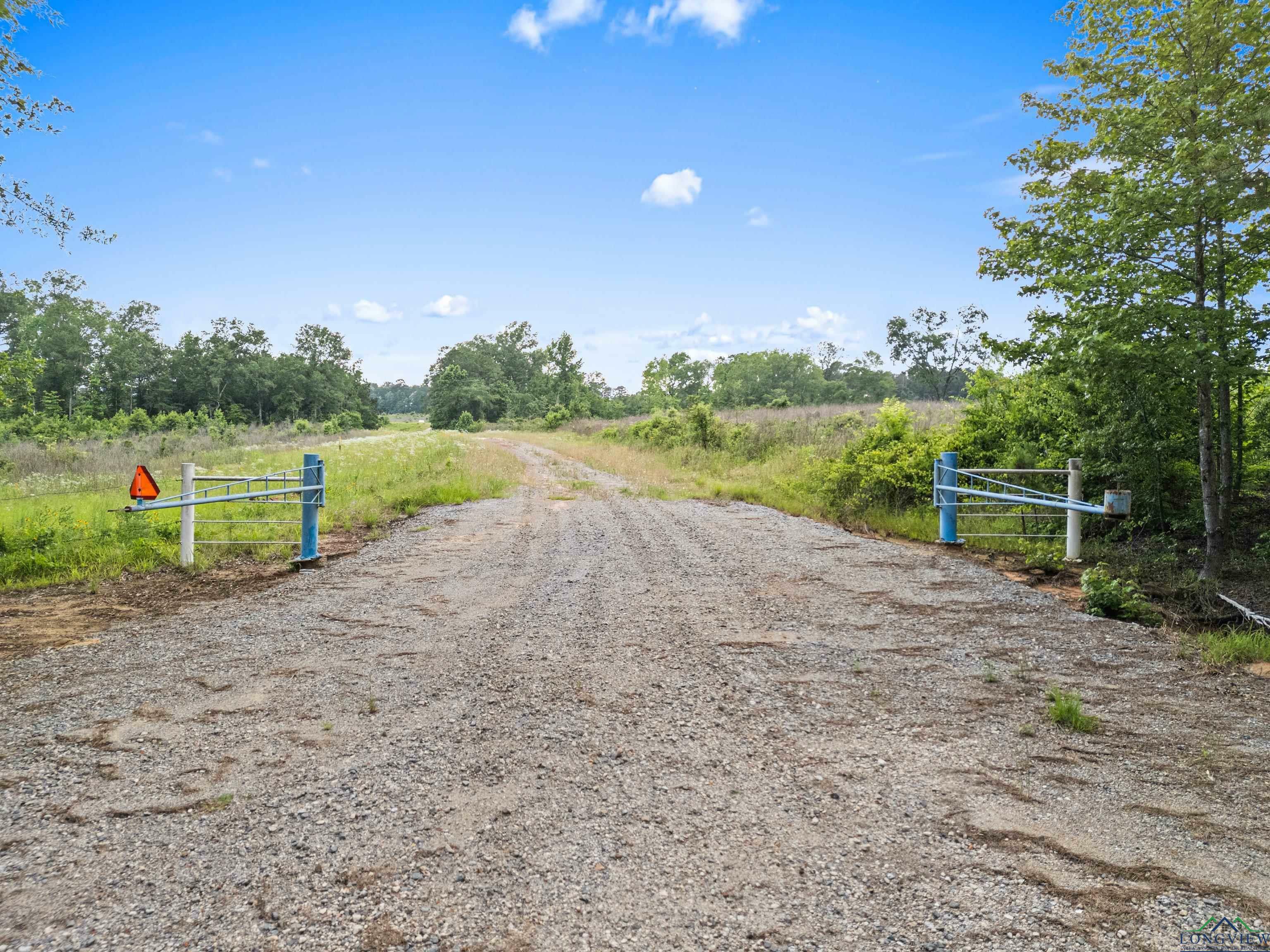 Property Photo: Tbd County Rd 206 TX 75633