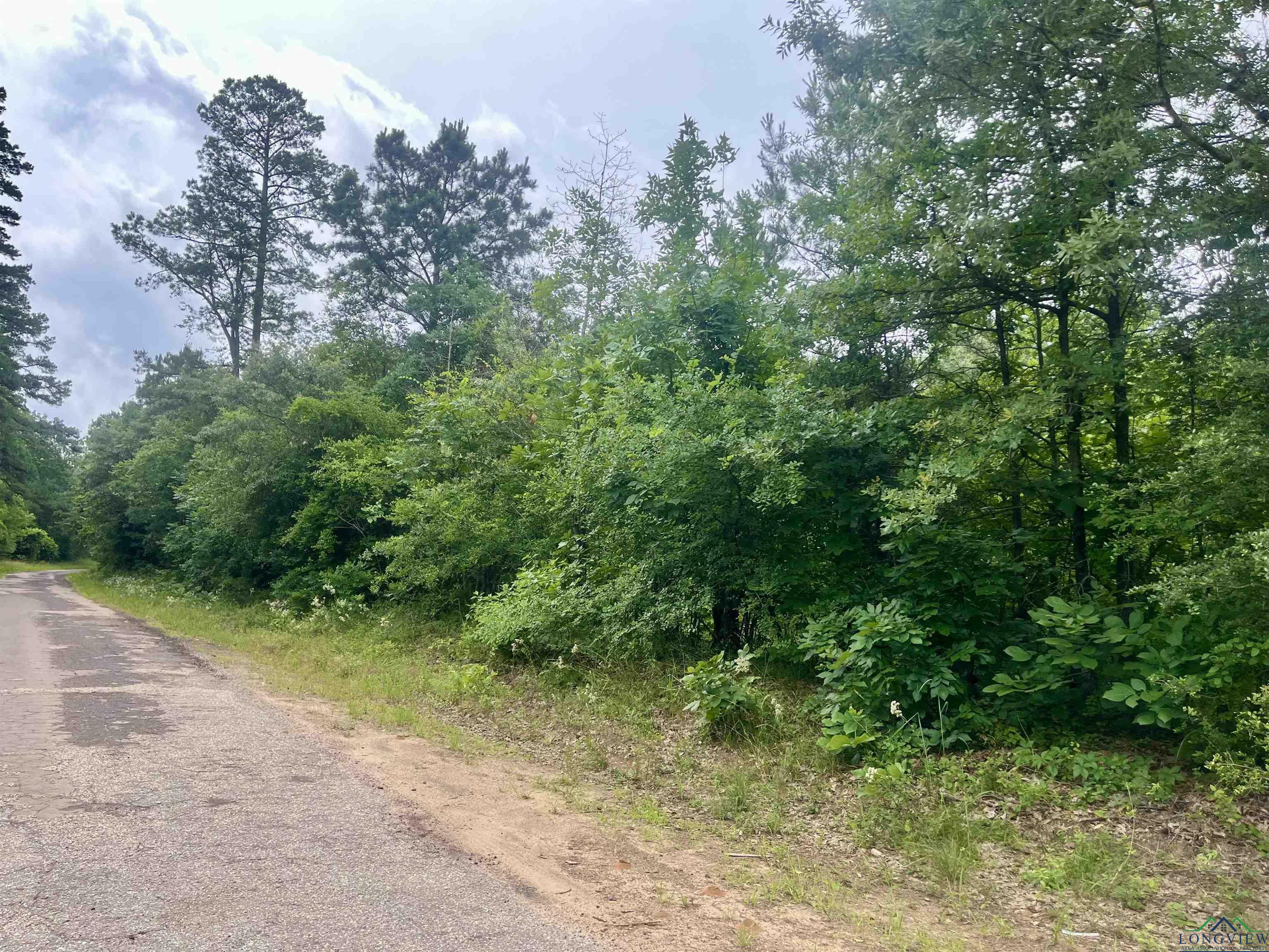 Property Photo: Tbd Trinity Rd Jefferson TX 75657