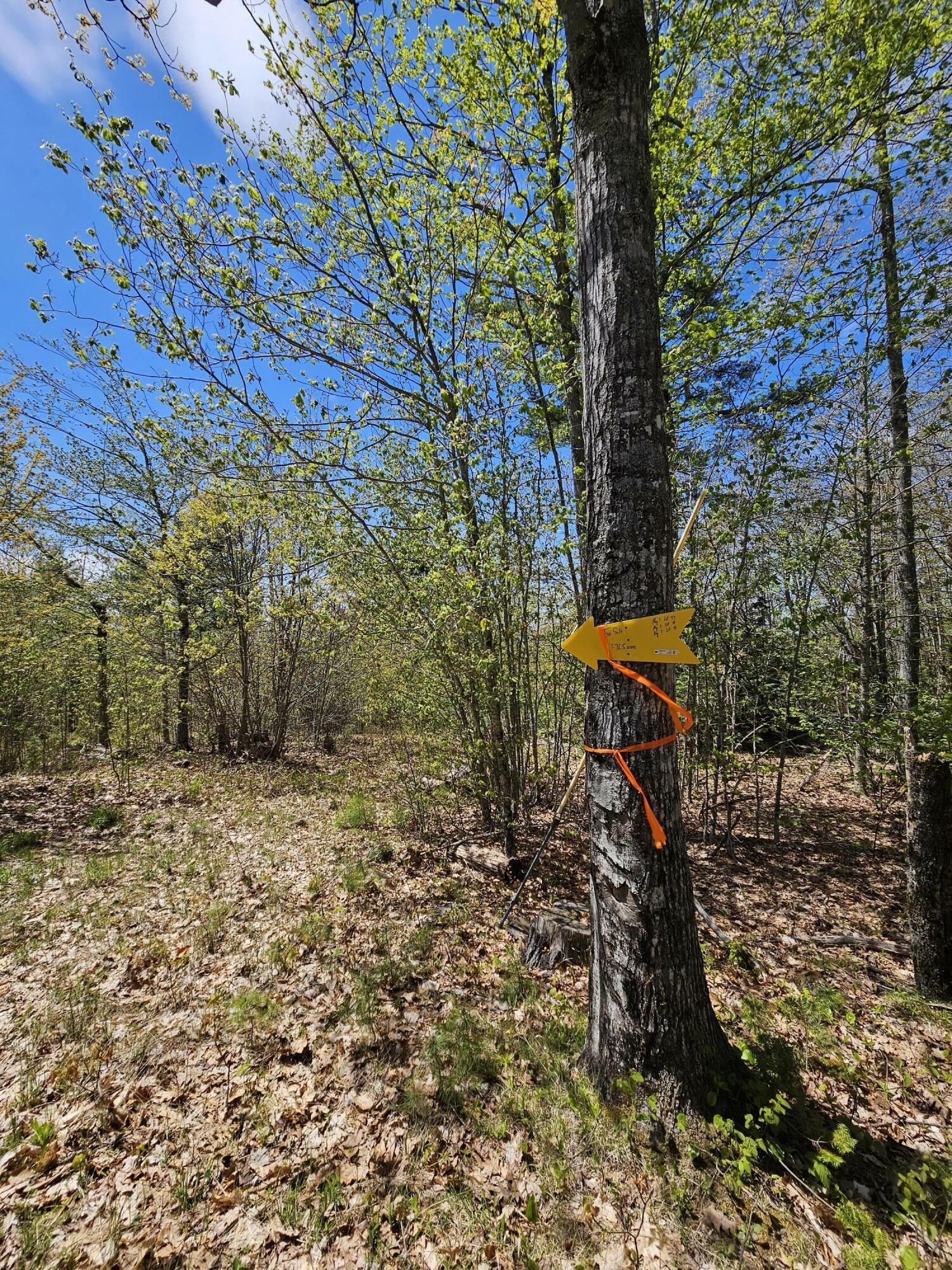Property Photo: Lot 47 Betts Road ME 04474