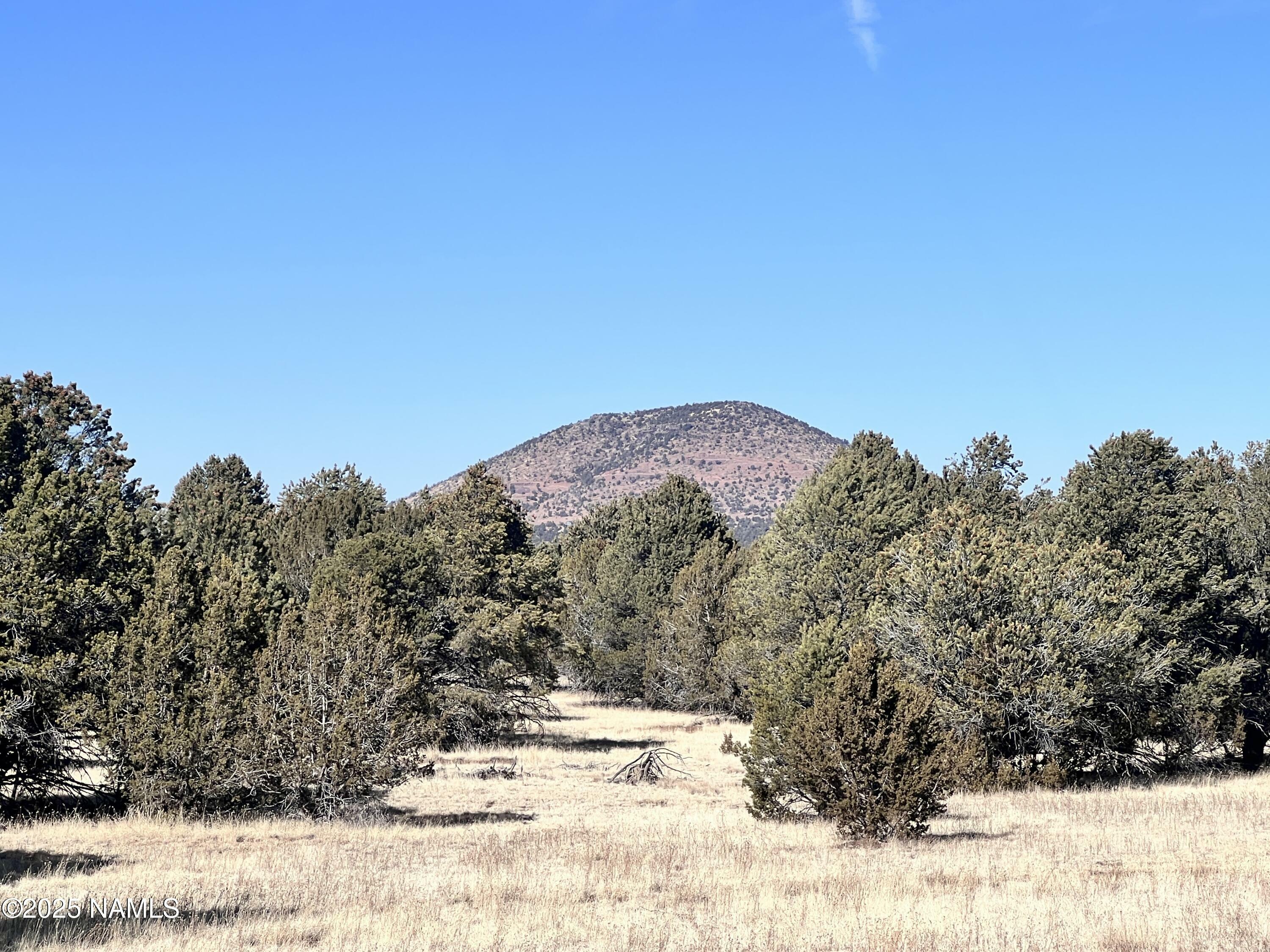 Property Photo:  7223 Daisy Drive  AZ 86046 