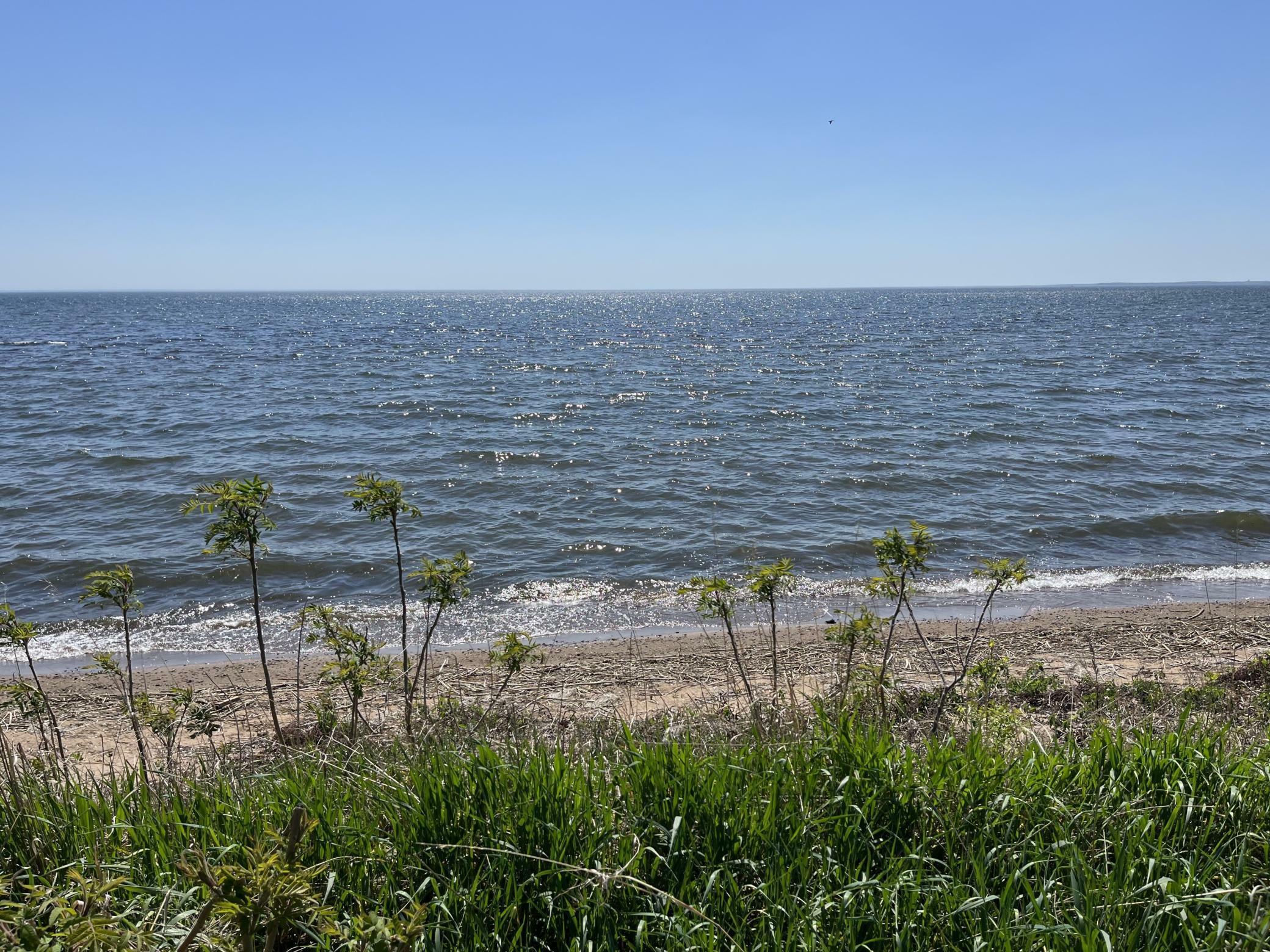 Property Photo:  10151 US Highway 169  MN 56450 