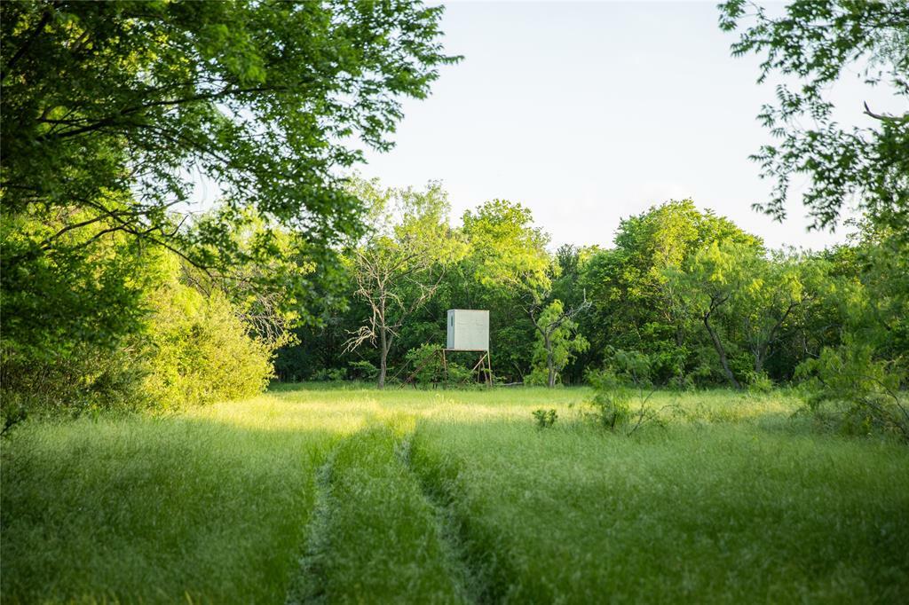 Property Photo: Tbd SW Cr 2349 TX 76681