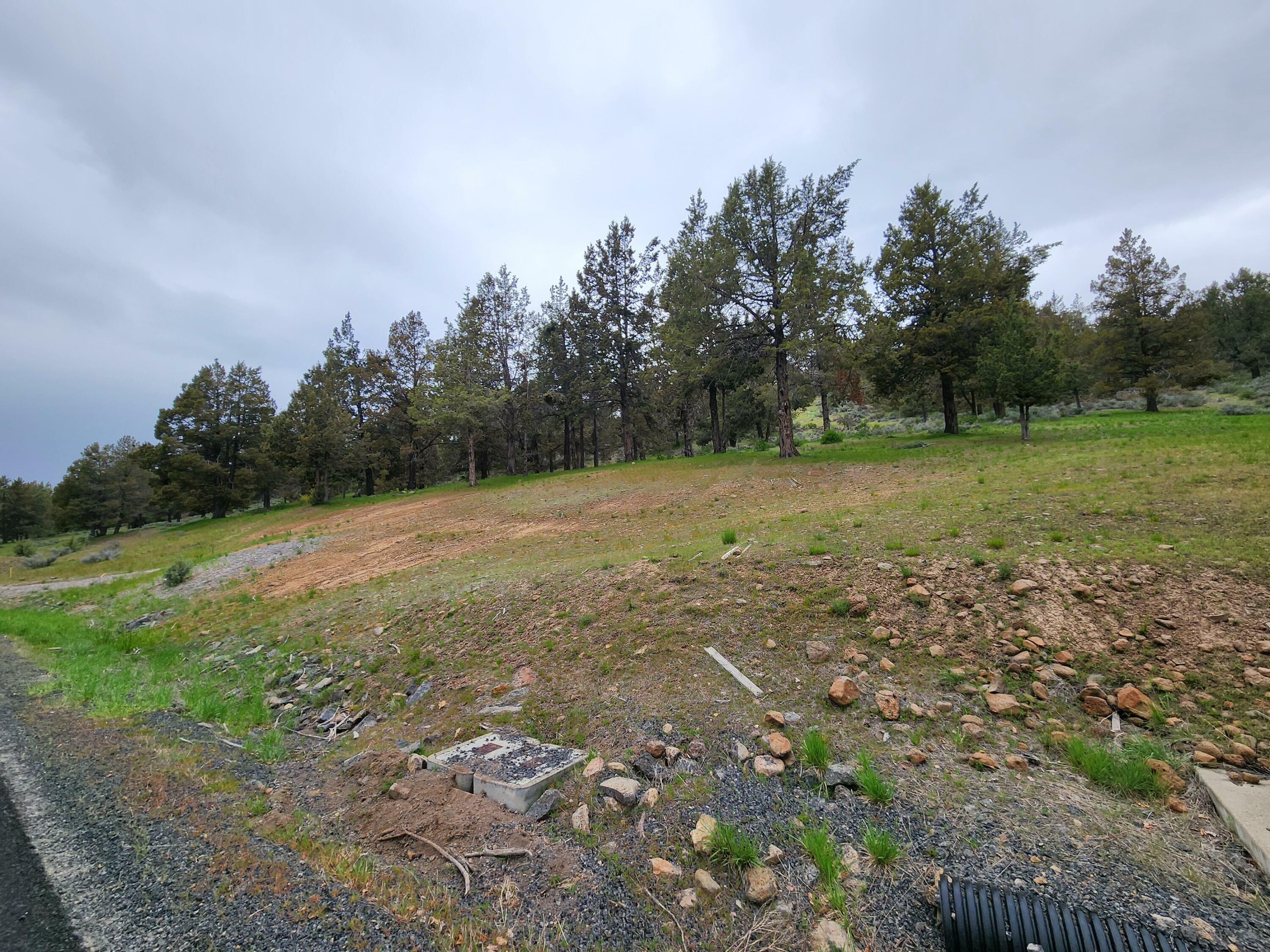 Property Photo: Murrelet Lot 1196 OR 97601