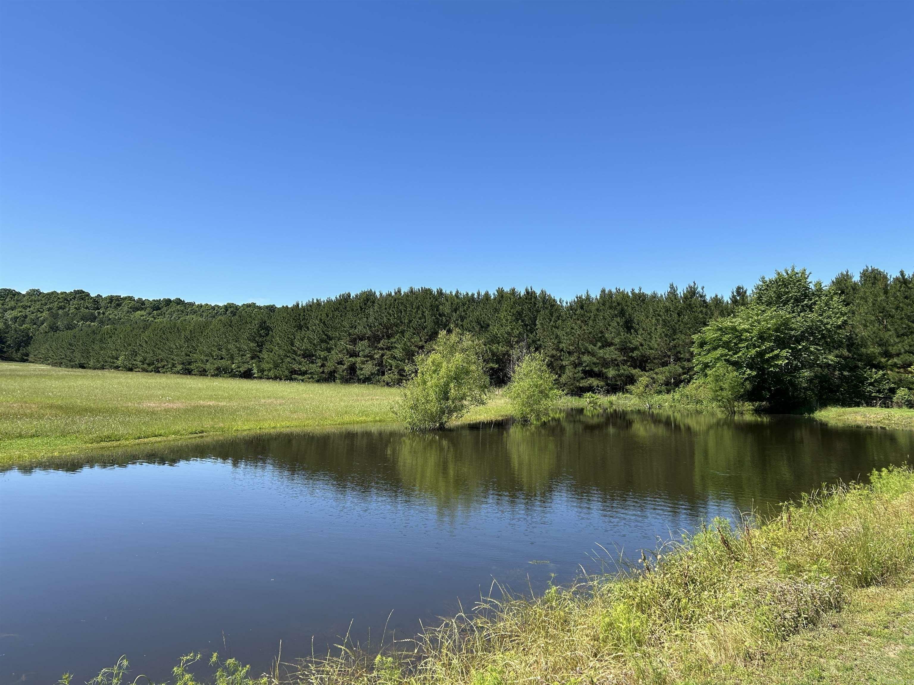Property Photo: 272 Hwy 31 AR 72136