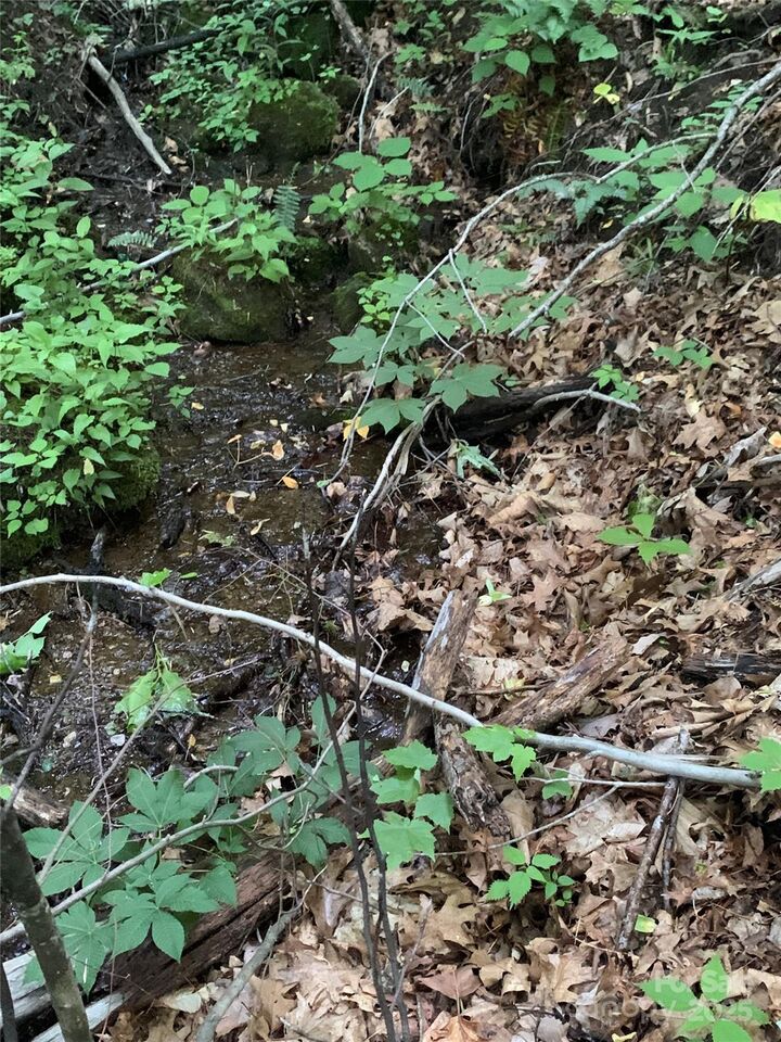 Property Photo:  5 Friar Tuck Lane 5  NC 28751 