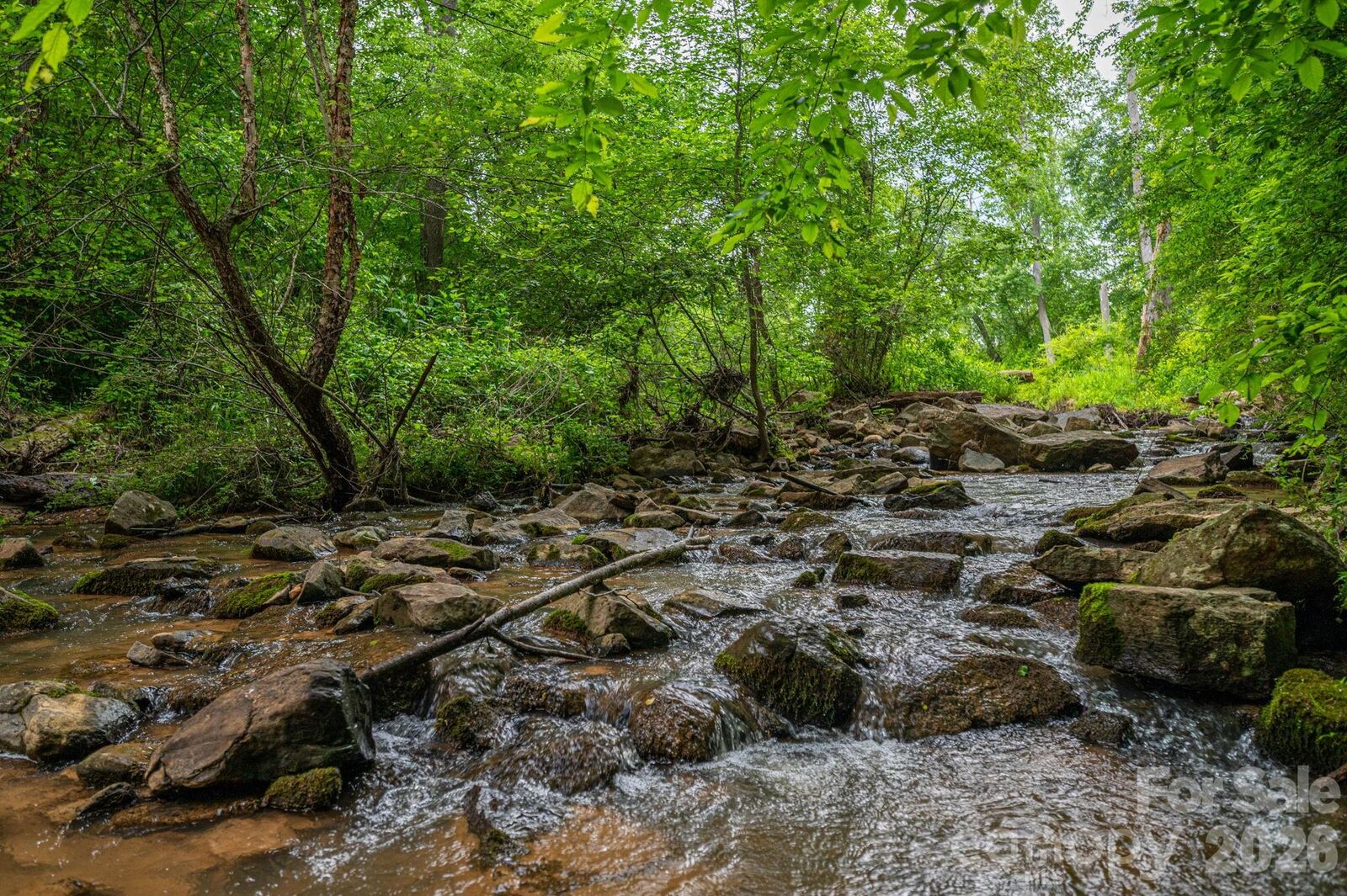 Property Photo:  000 Wells Road  NC 28168 