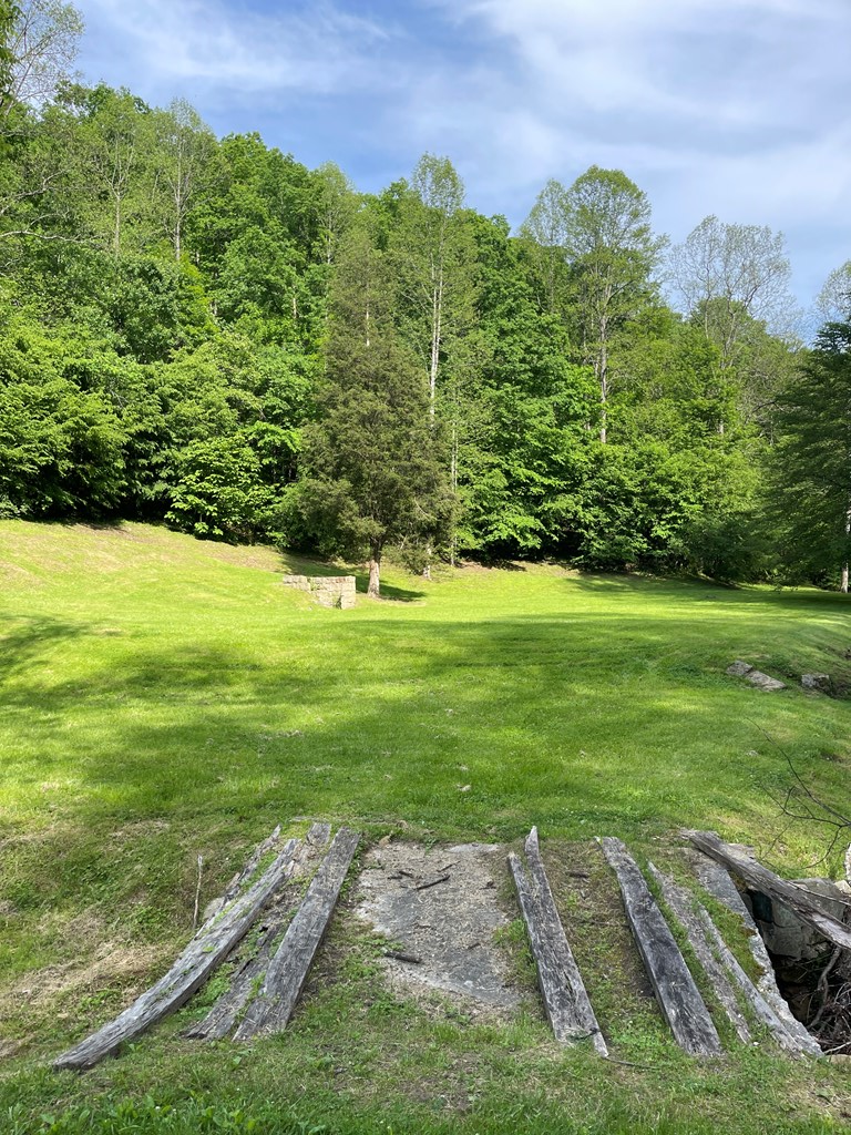 Property Photo:  317 Turkey Crum Branch  KY 41224 