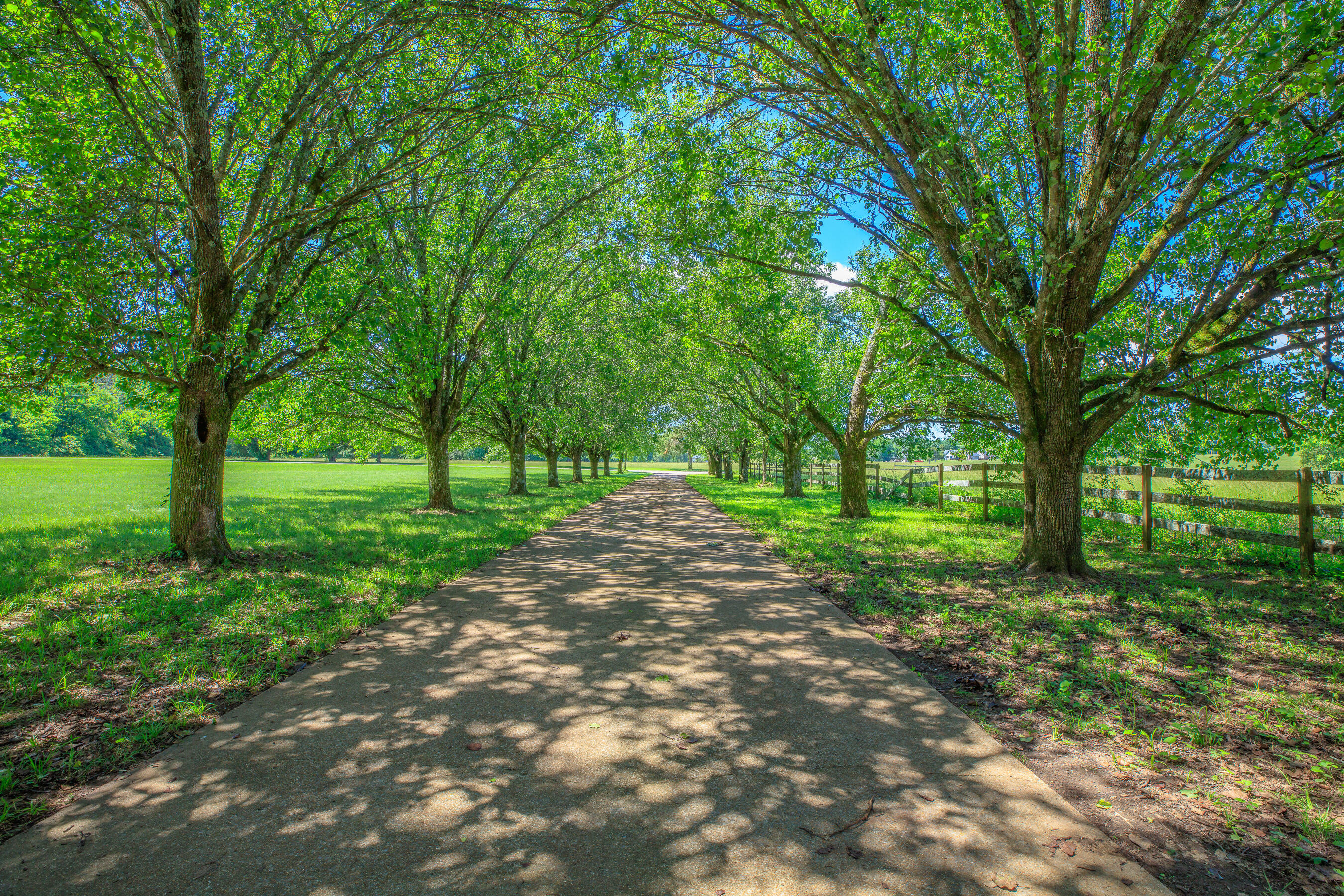 Property Photo: 7902 Ooltewah Georgetown Road TN 37363
