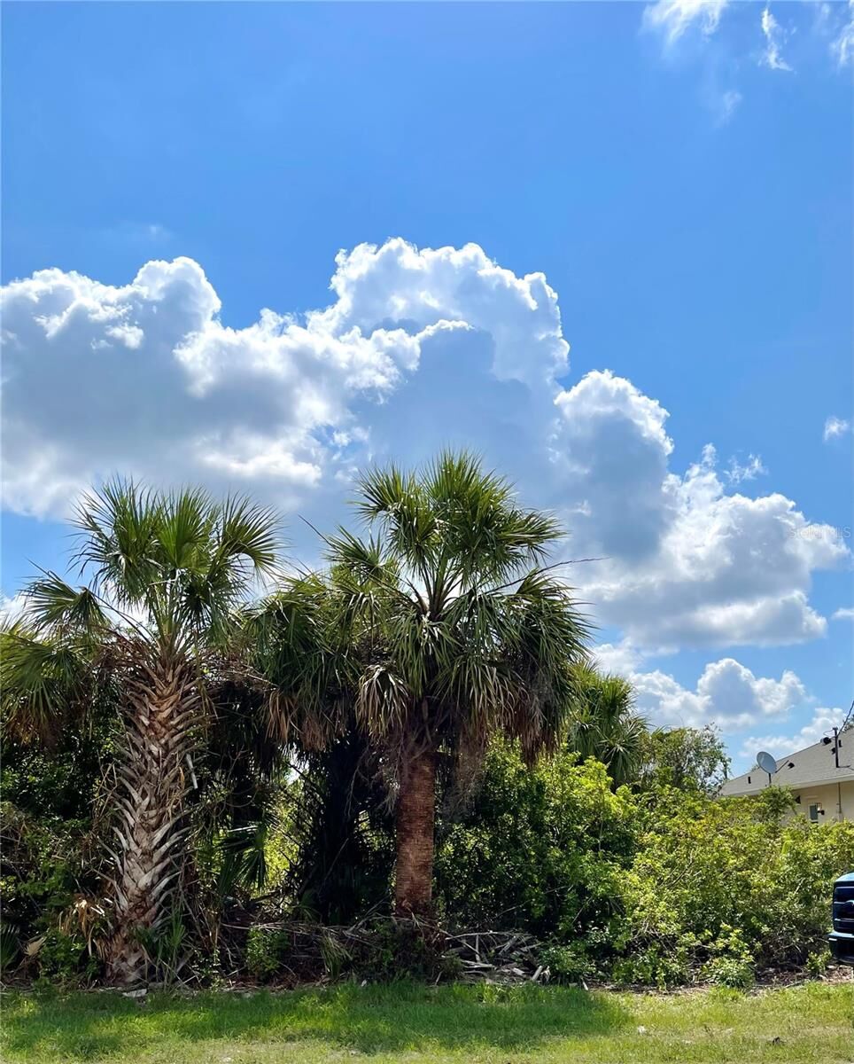 Property Photo: 414 Ravenswood Boulevard FL 33954