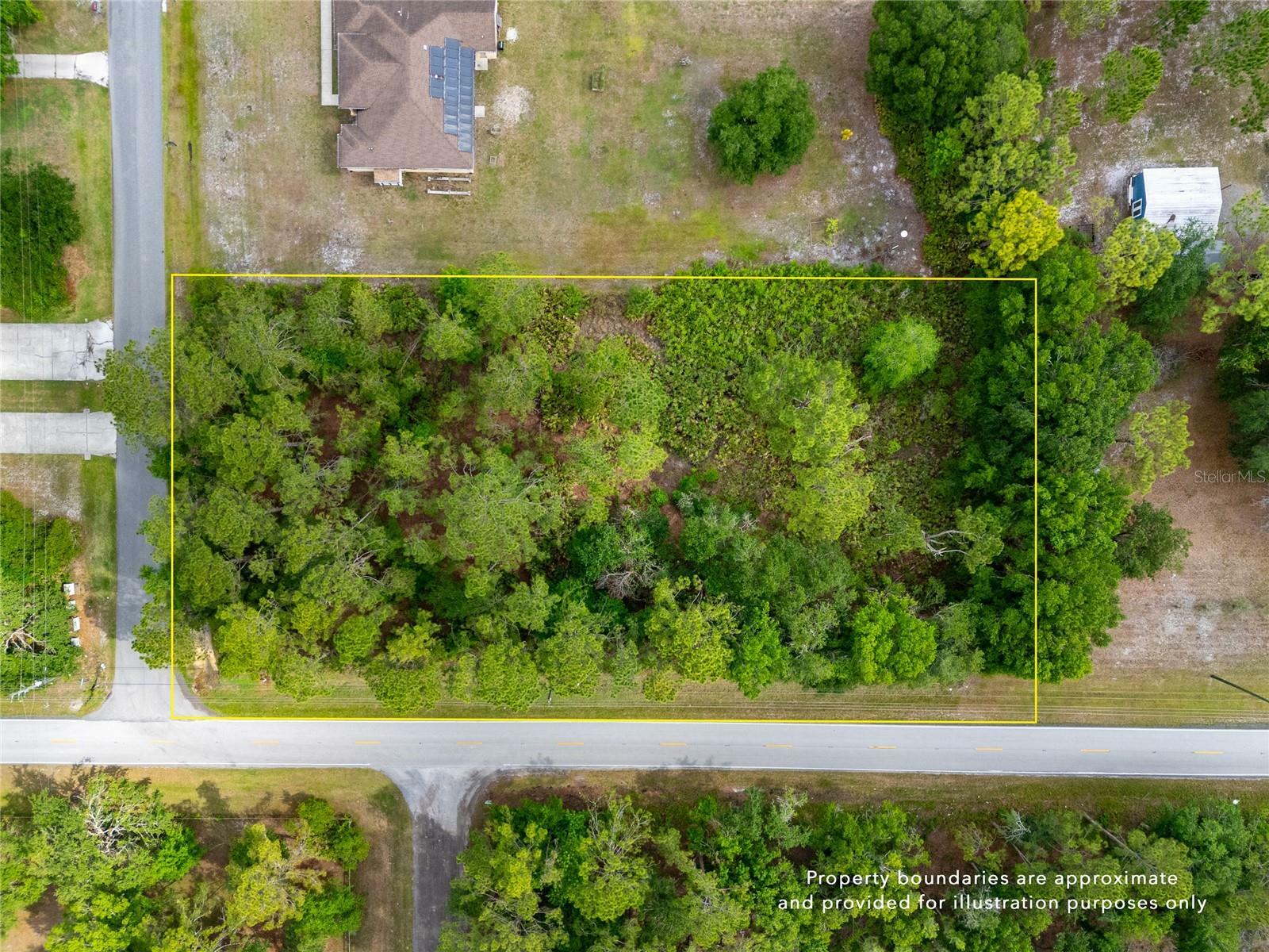 Property Photo: Pine Lands Drive FL 33544