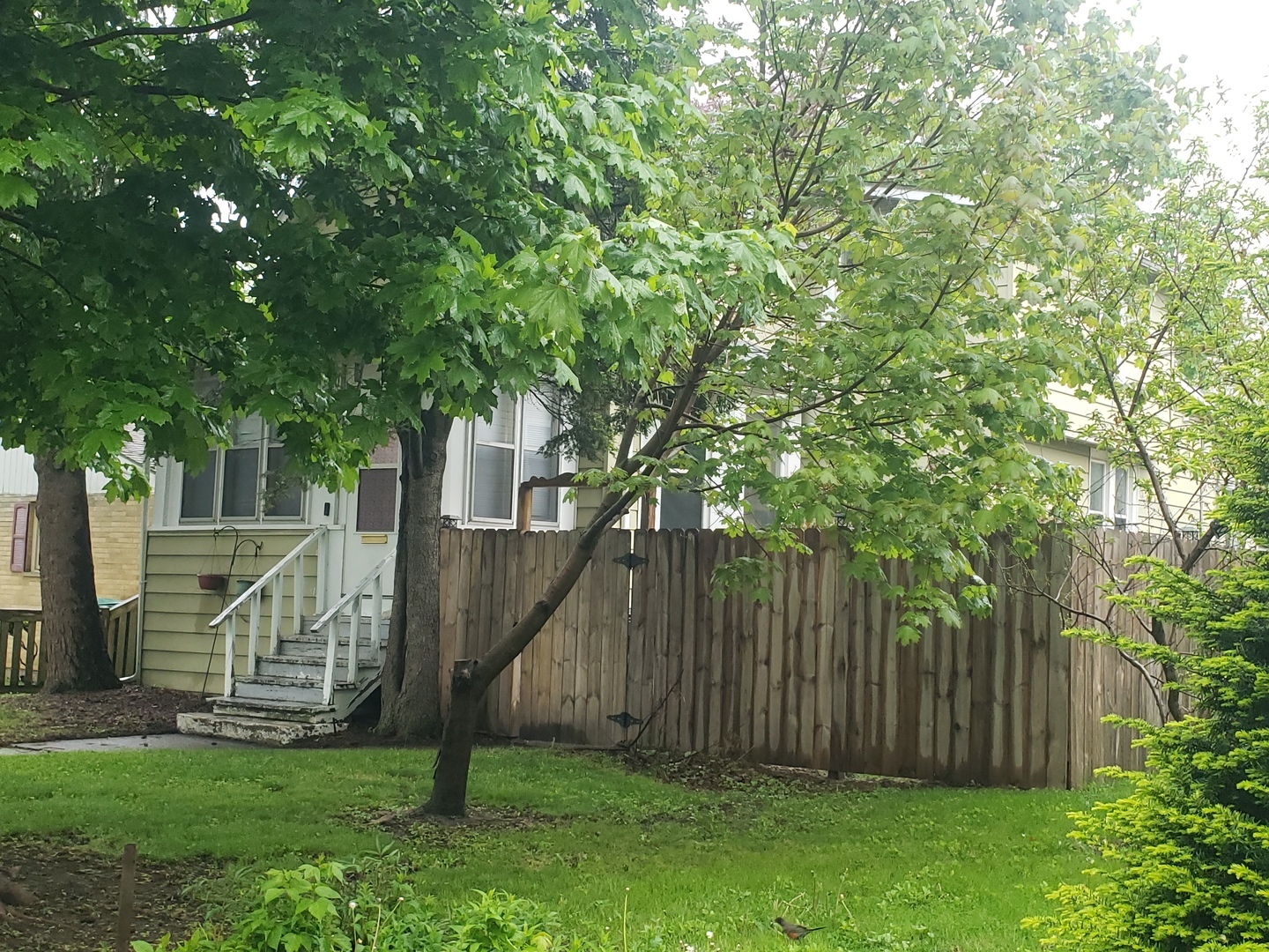 Property Photo:  2903 Gideon Avenue  IL 60099 