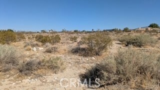 Property Photo: 0 Del Rosa CA 92372