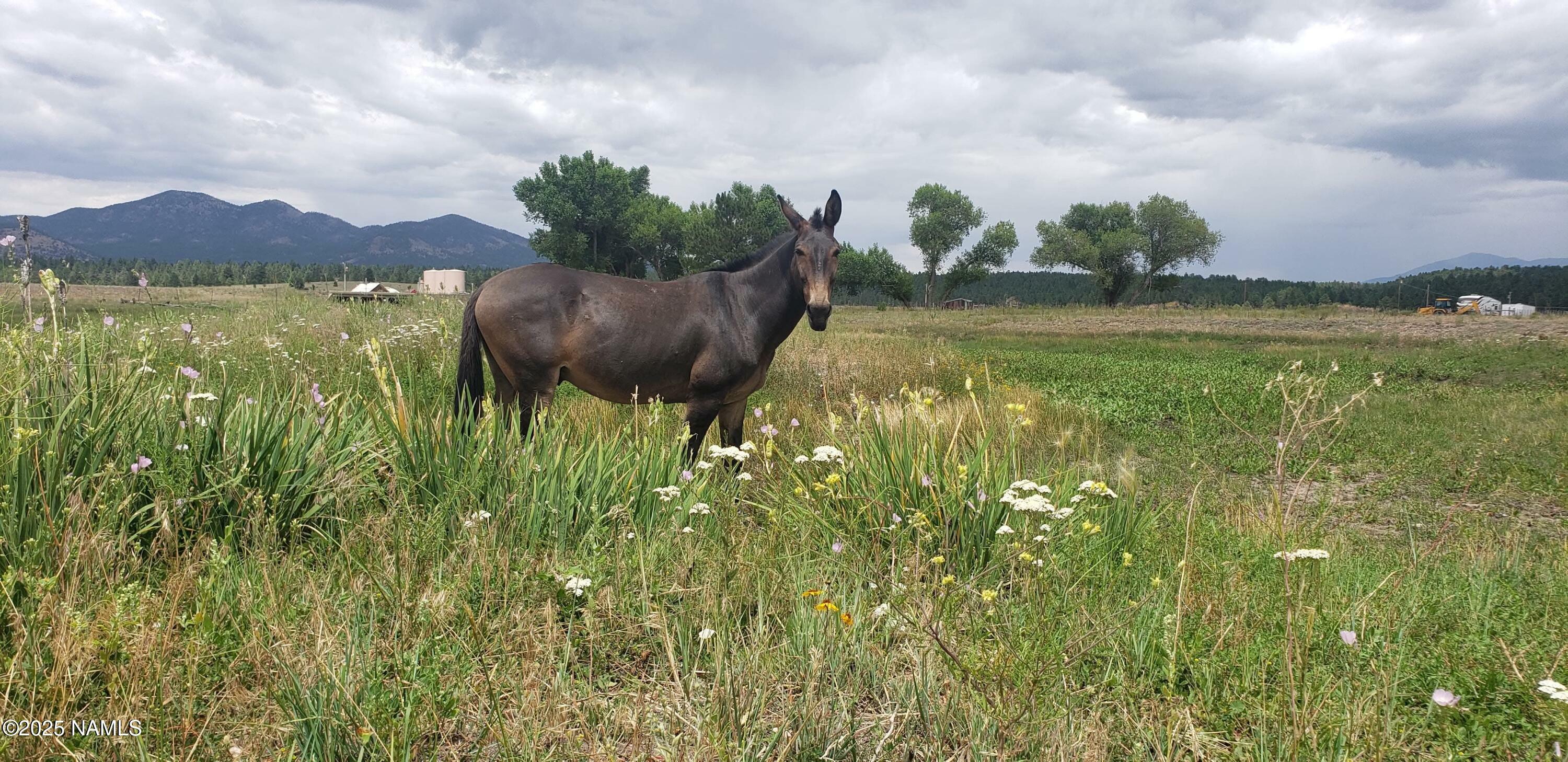 Property Photo:  7764 E Old Route 66  AZ 86046 