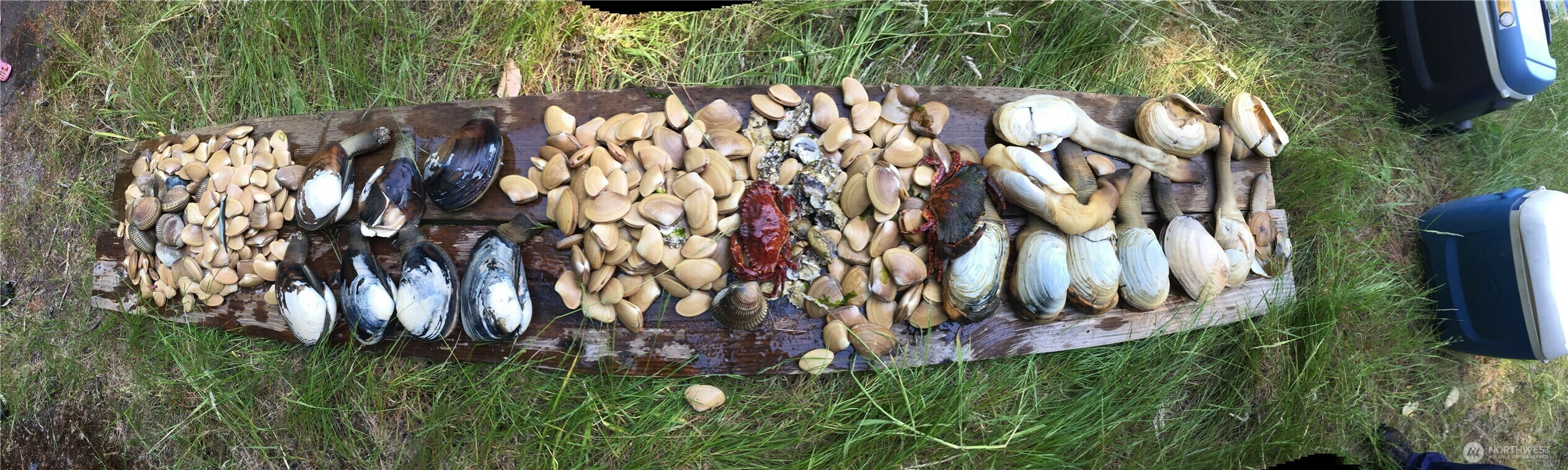 Property Photo: 11600 32nd Street NW WA 98335