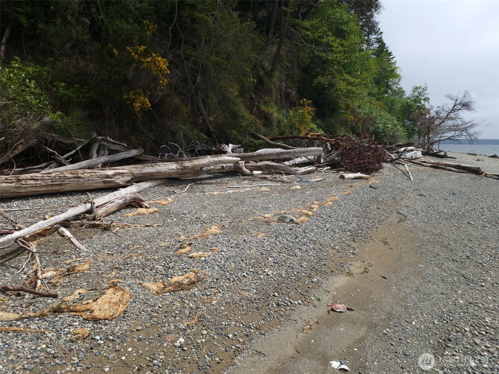 Property Photo:  11600  32nd Street NW  WA 98335 