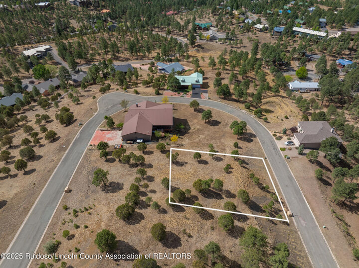 Property Photo:  105 Milagro Hills Court  NM 88345 