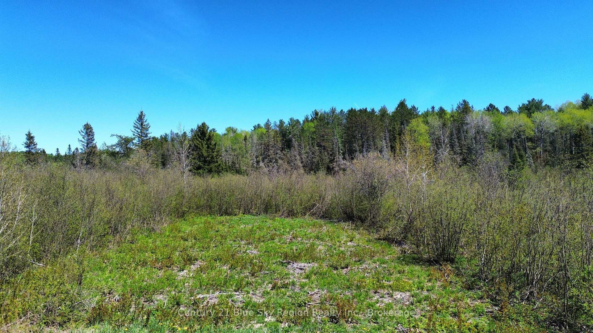 Photo de la propriété:  114 De La Montee Road  ON P0H 2M0 