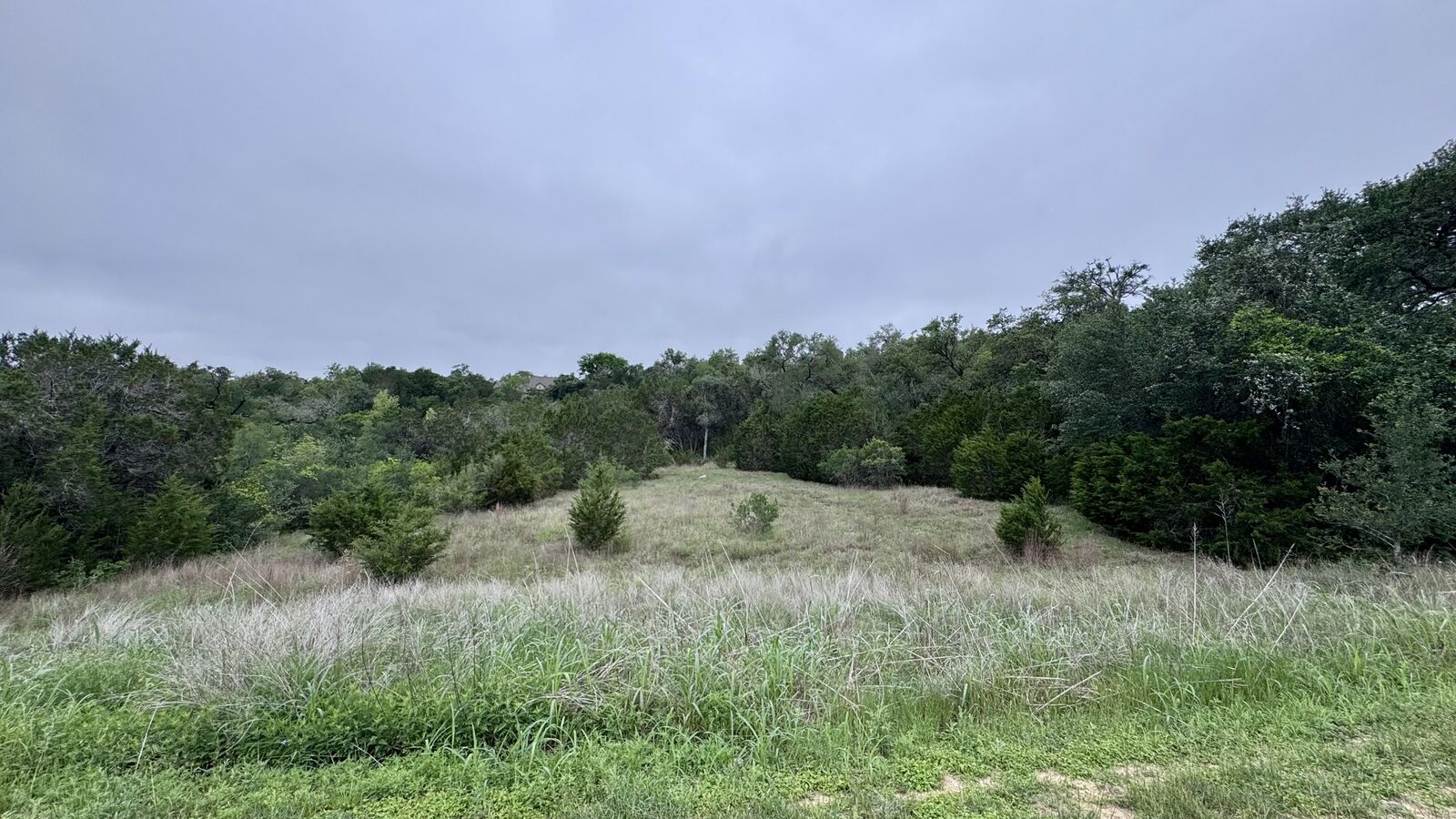 Property Photo:  673 Yorks Crossing  TX 78619 