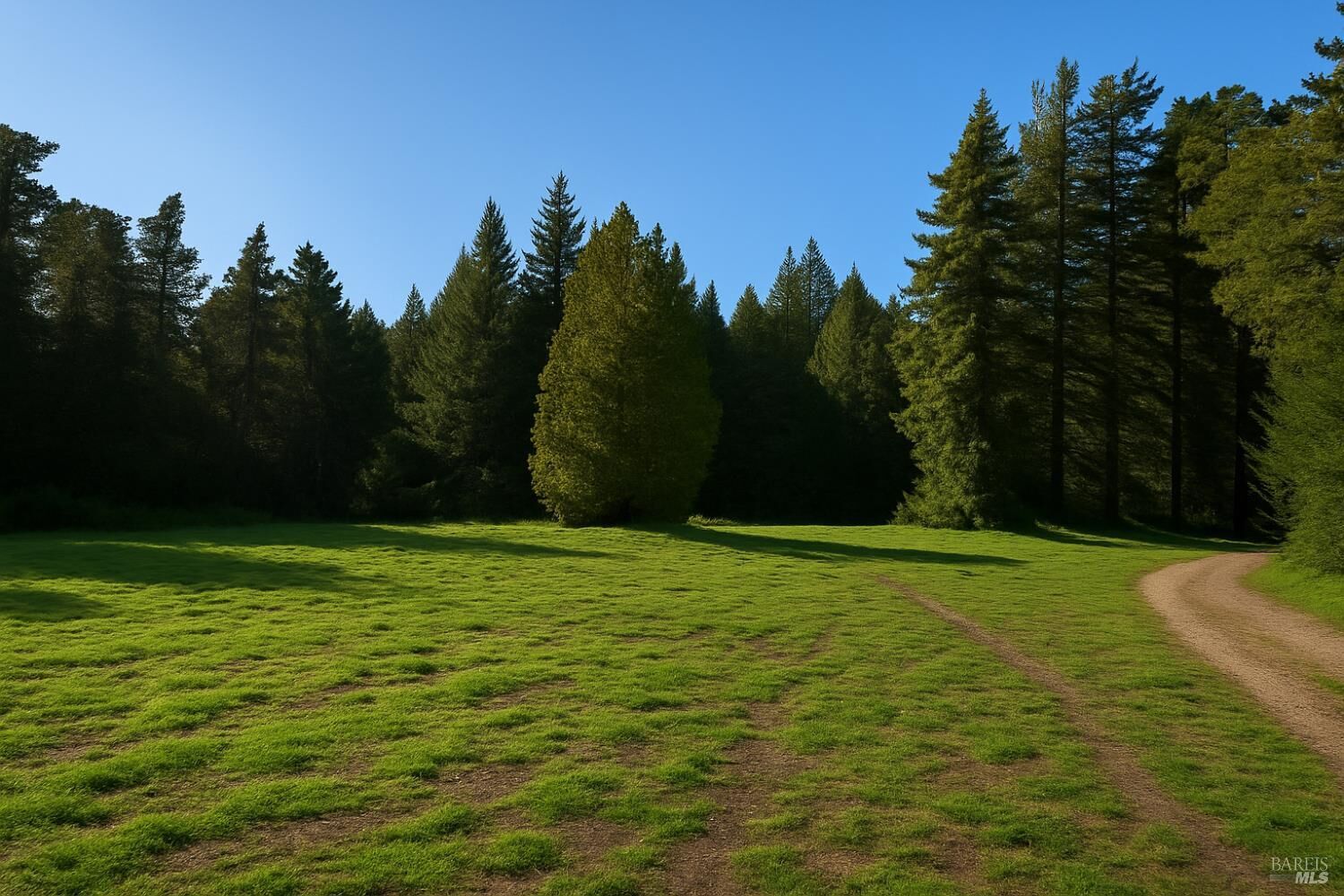 Property Photo: