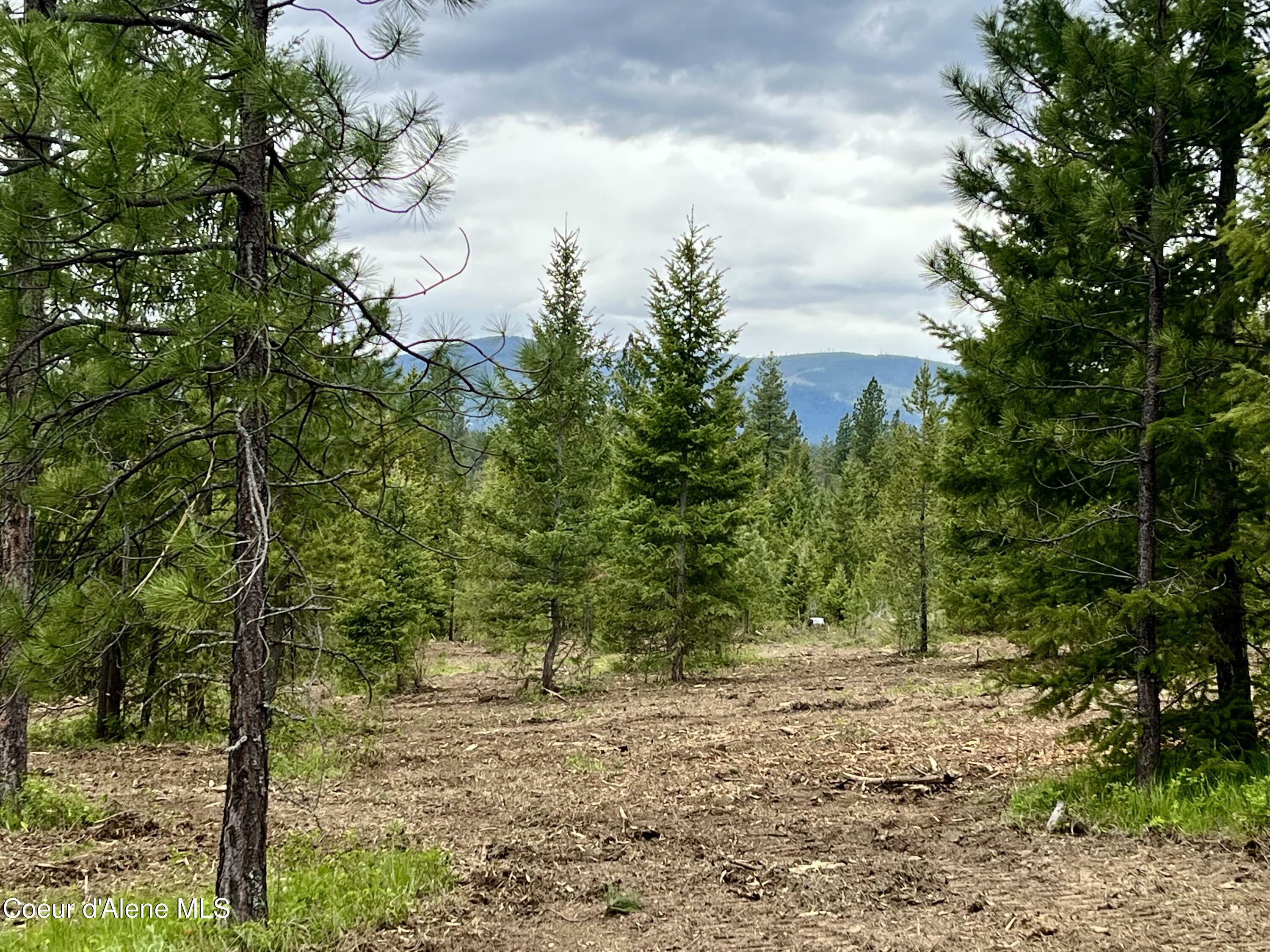 Property Photo: 12 Acres Elizabeth Lane ID 83801