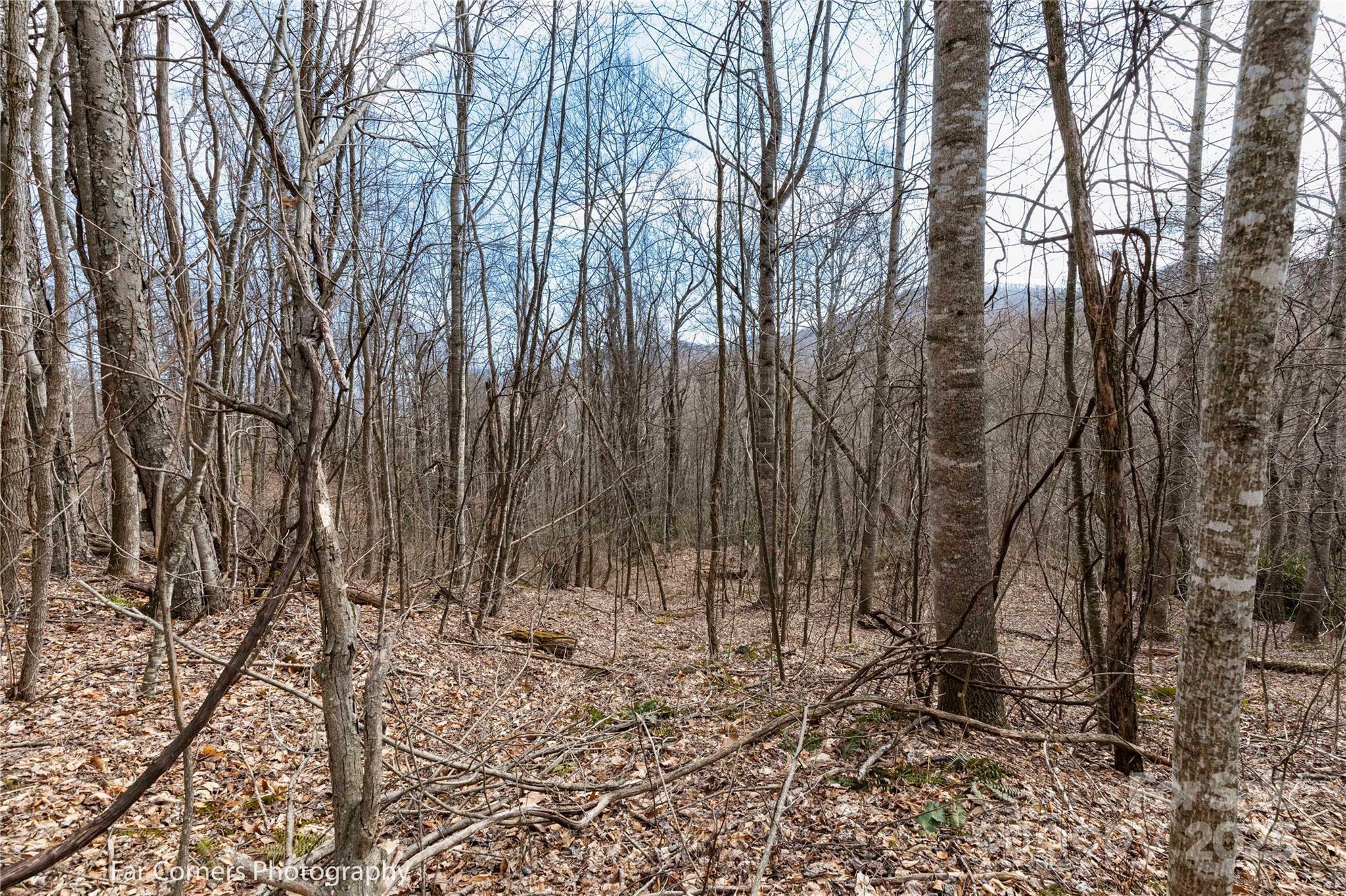 Property Photo:  9 Chandra Lane  NC 28721 