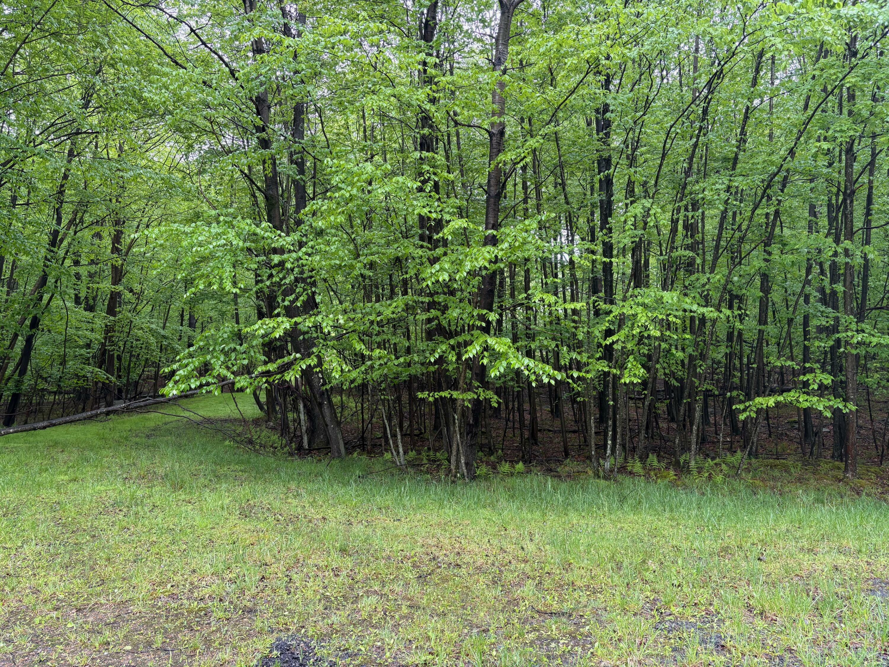 Property Photo: 14A Samana Cay Rd PA 15801