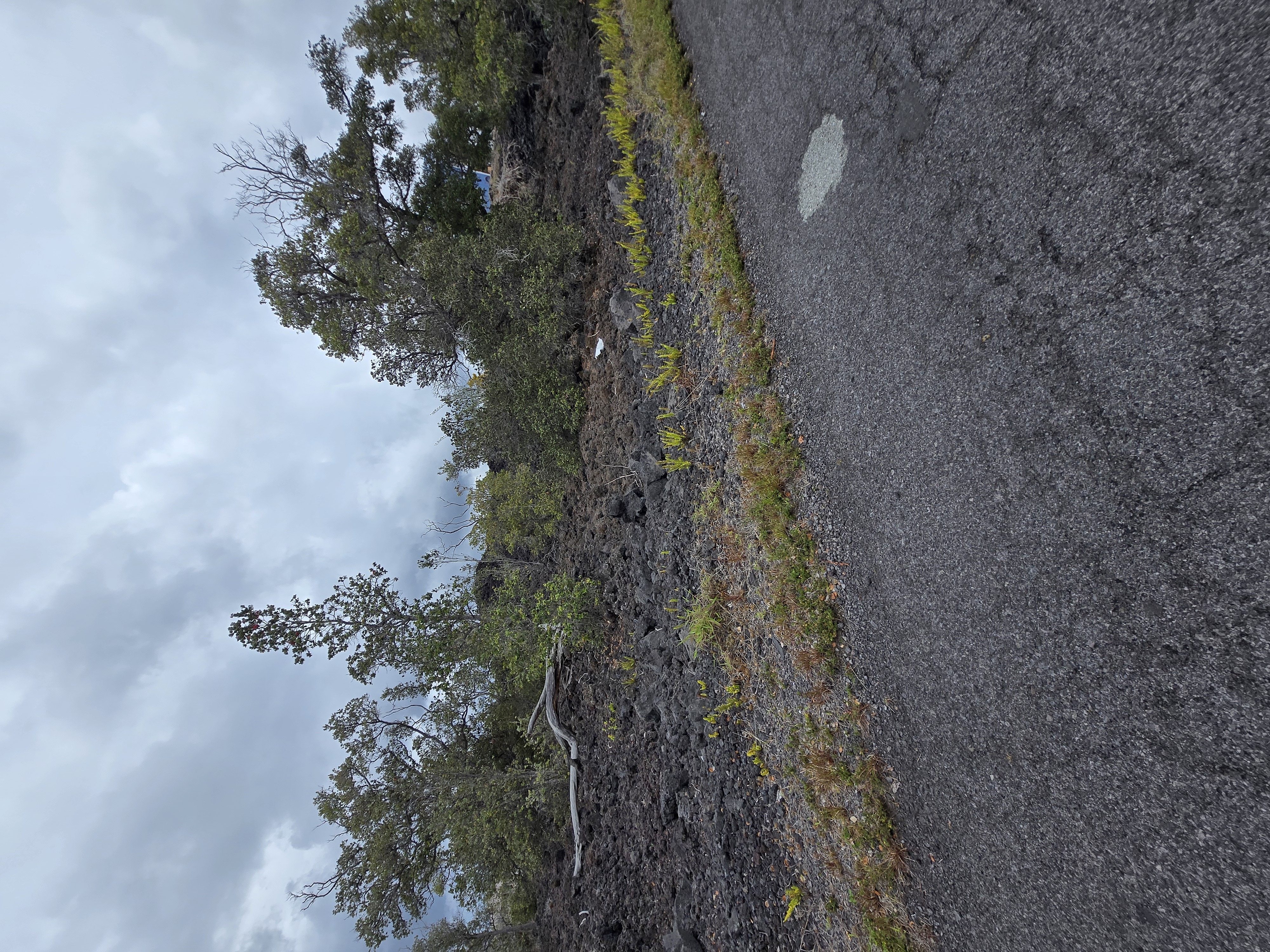 Paradise Pkwy  Ocean View HI 96737 photo