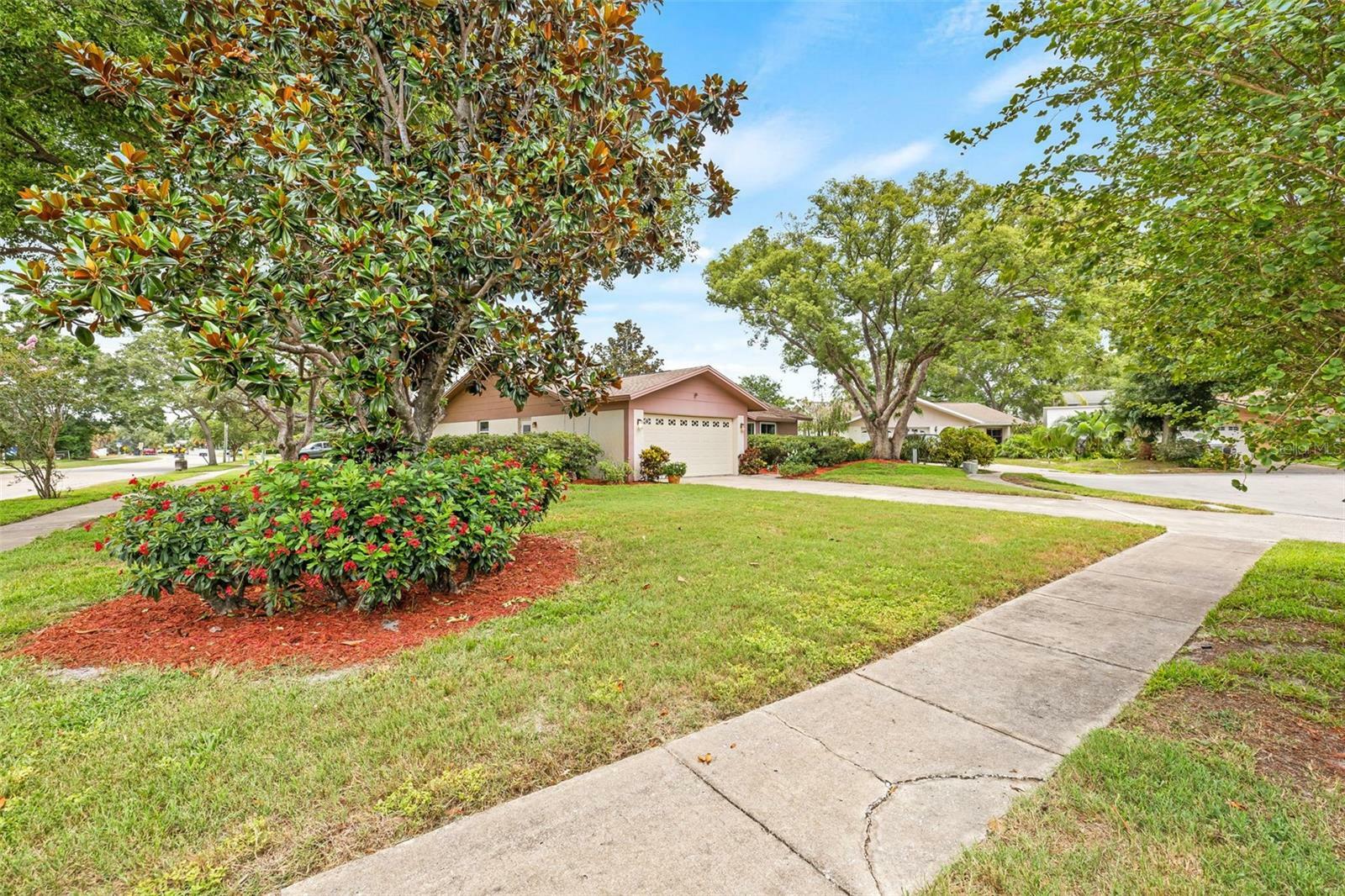Property Photo:  1880 Oak Bark Court  FL 33763 