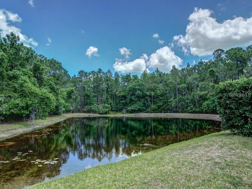 Property Photo: 3910 Saywood Court FL 34685