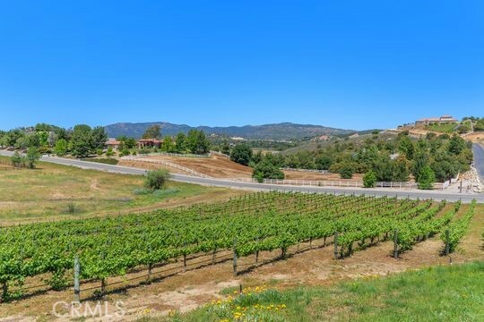 Property Photo: 36475 Avenida La Cresta CA 92562