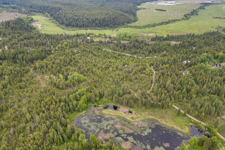 Lot 2 Hesseltine Rd  Valley WA 99181 photo