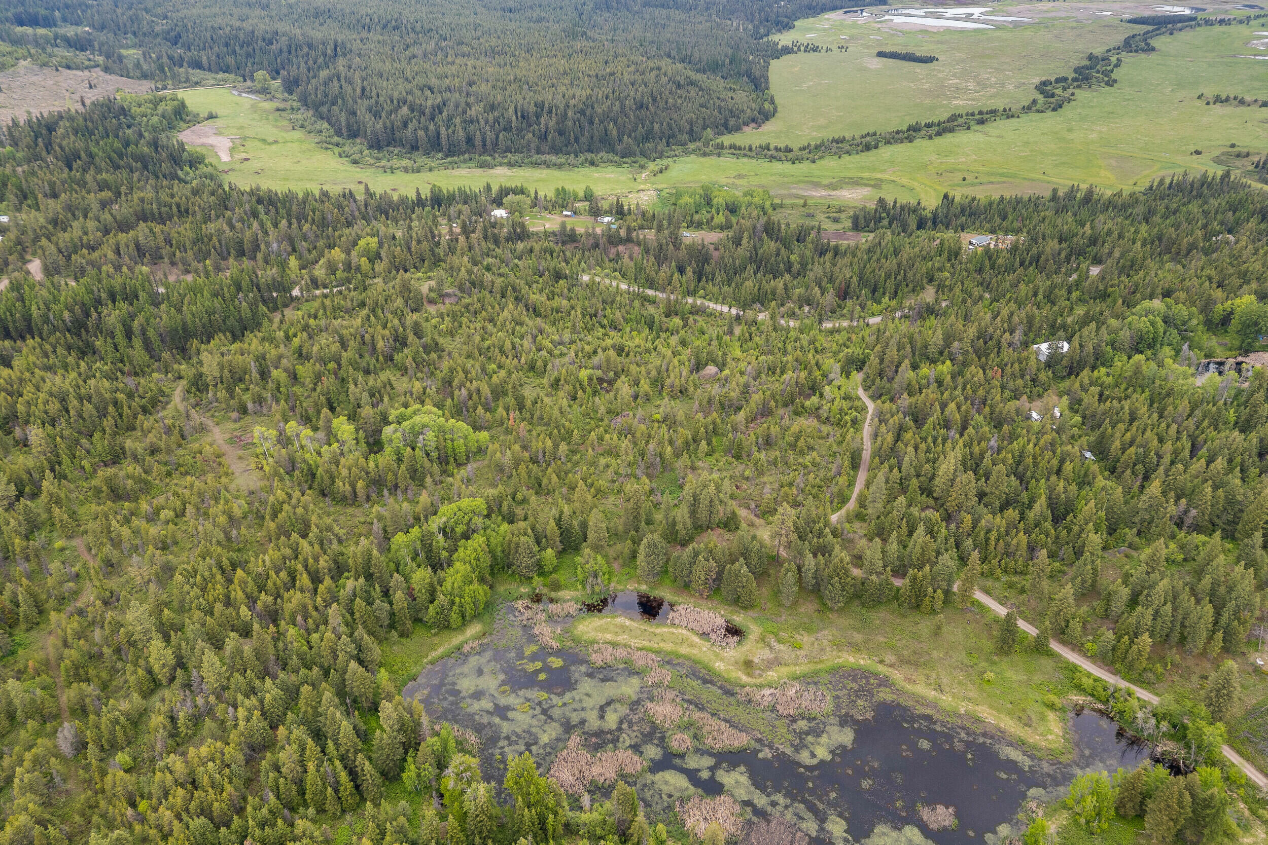 Property Photo: Lot 2 Hesseltine Rd WA 99181