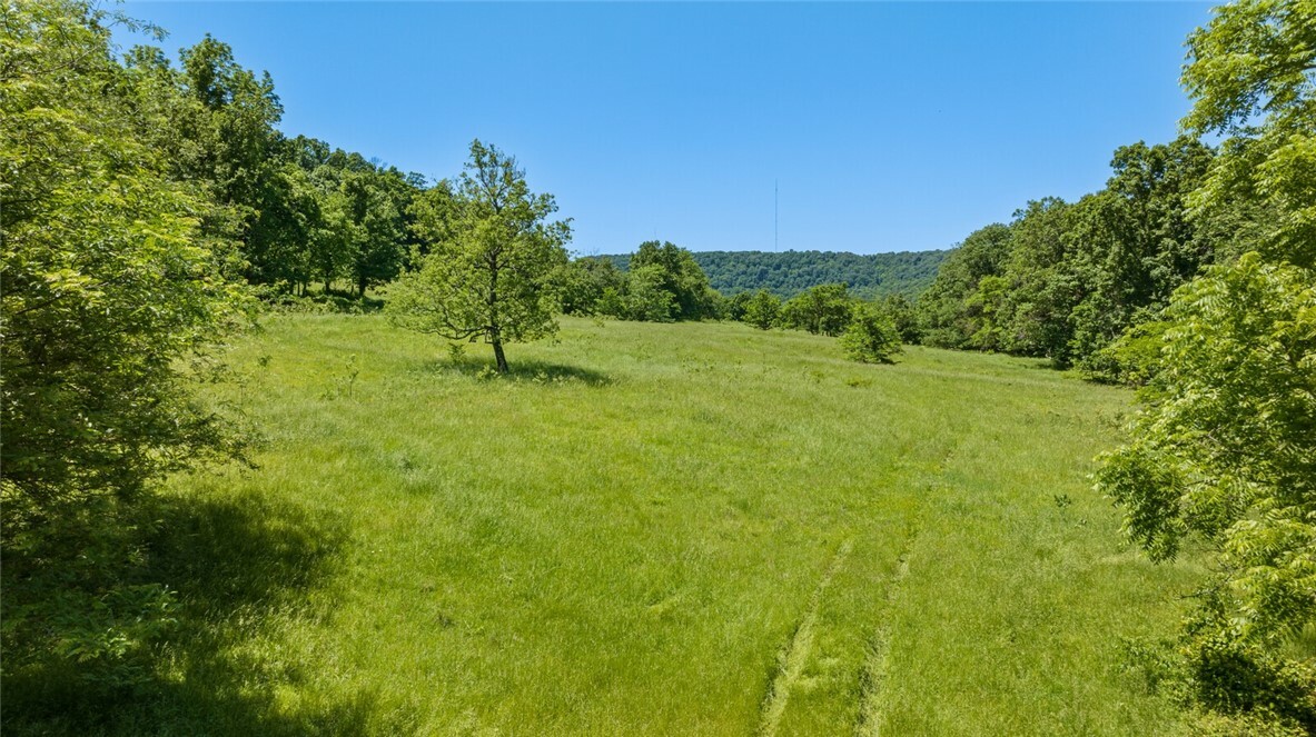Property Photo: 16638 Hazel Valley Road AR 72701