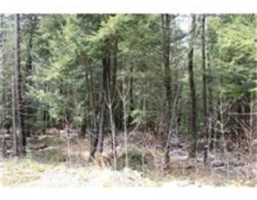 Property Photo: 0 Pocumtuck Dr MA 01342
