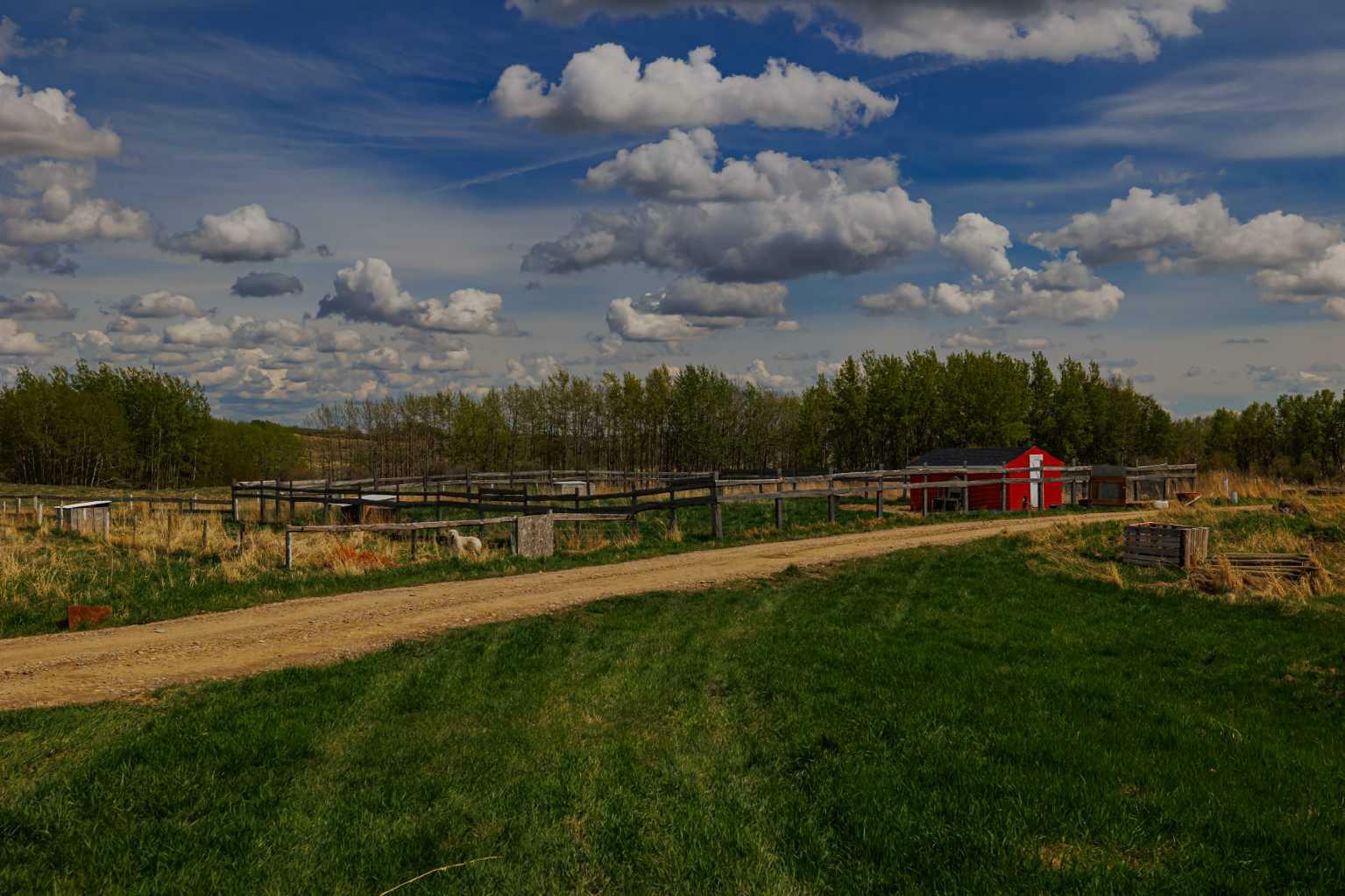 Property Photo: 274212 Lochend Road AB T4C 2Y2