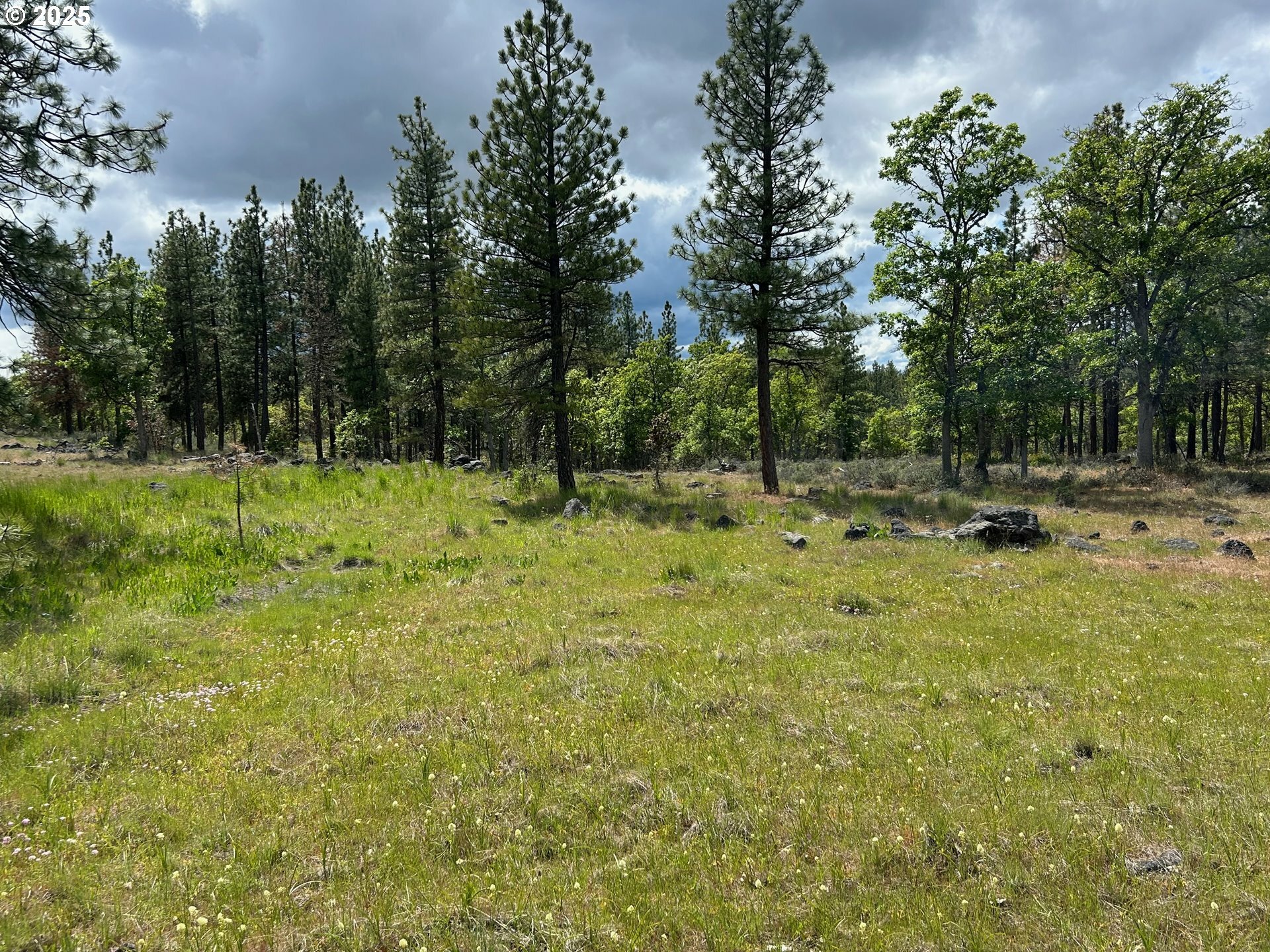 Property Photo: 30 Lutz Pkwy WA 98620