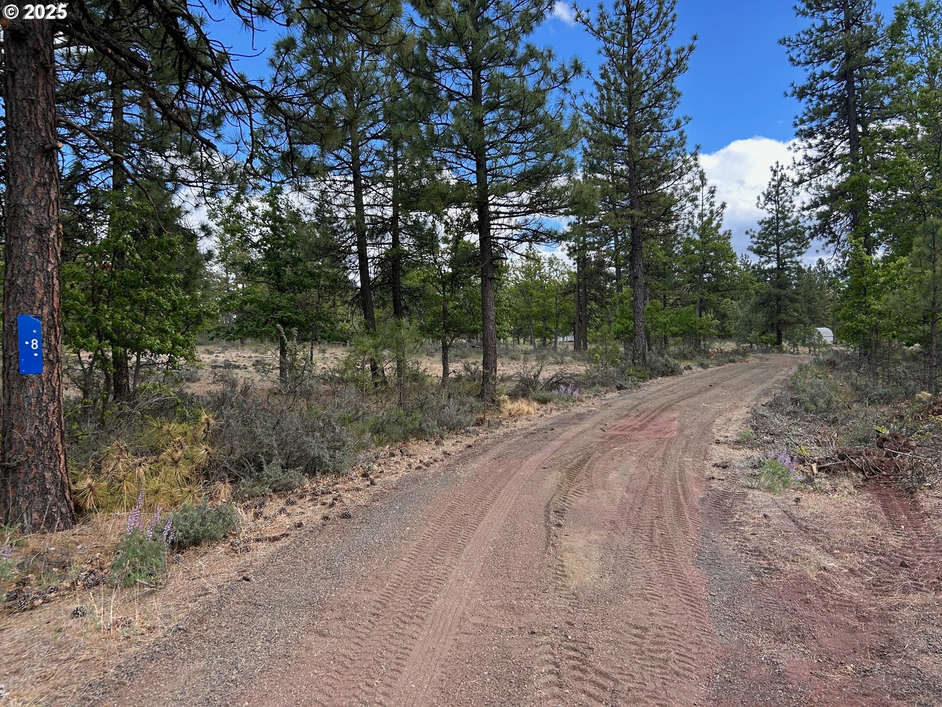 8 Lutz Pkwy  Goldendale WA 98620 photo