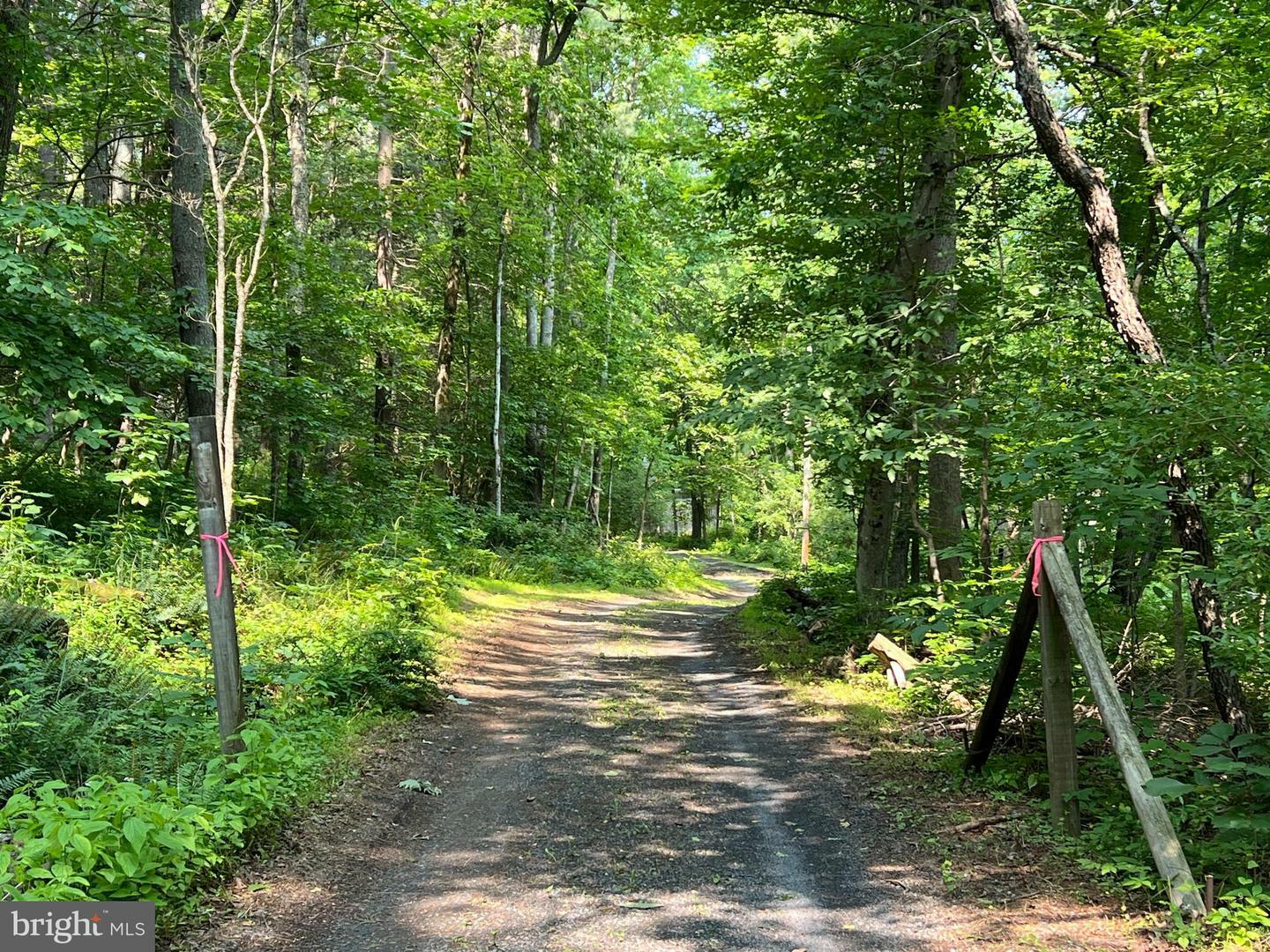Property Photo: 177 Cedar Hill Road VA 22657