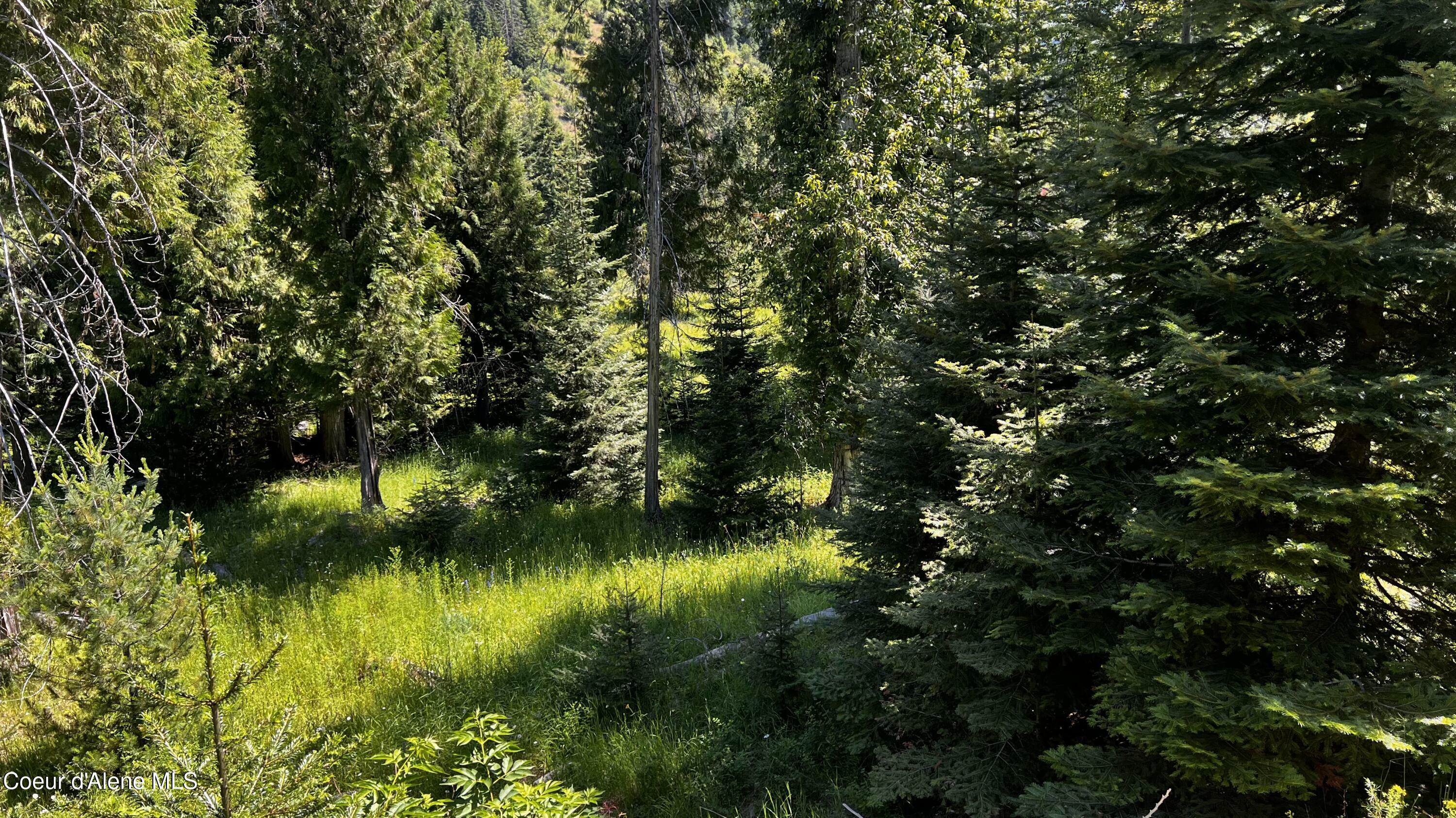 Property Photo: Nka Beaver Creek Rd ID 83873