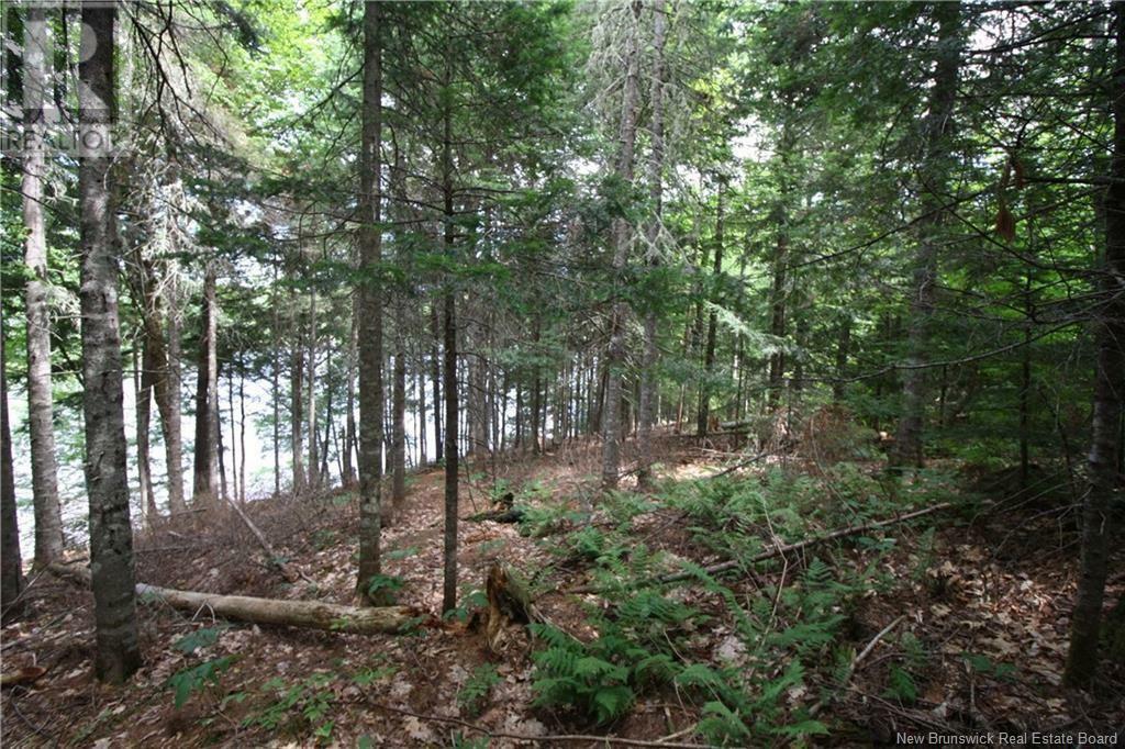 Property Photo:  15-59 Bass River Point Route  NB E4T 1J3 