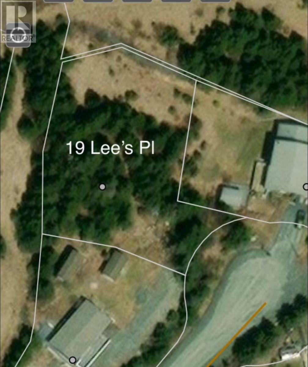Property Photo:  19 Lee'S Place  NL A1M 3C2 