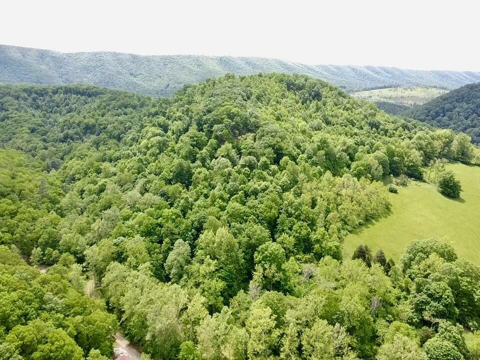 0 Two Brothers Rd.  Lindside WV 24951 photo