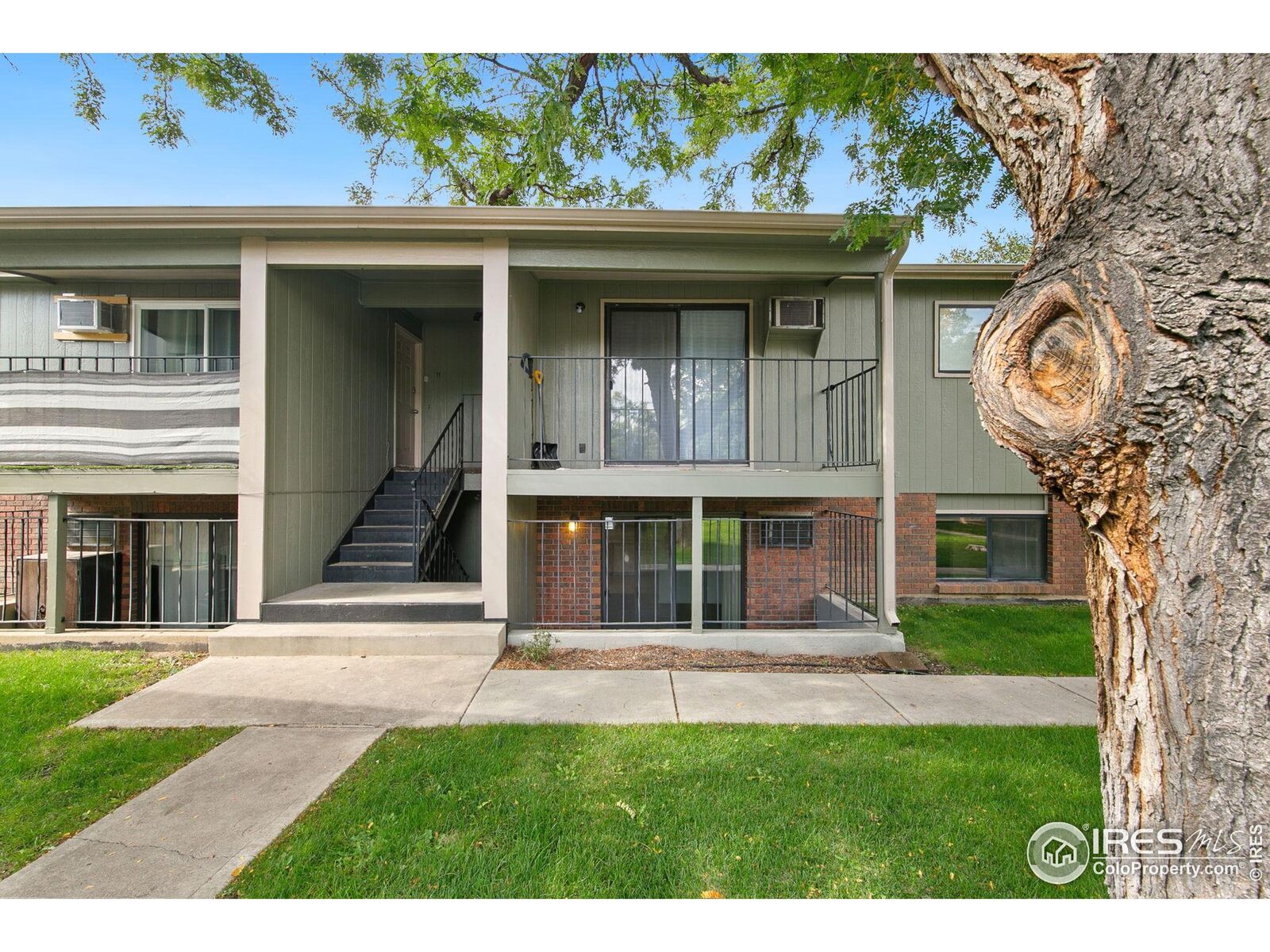Property Photo: 419 S Impala Dr 10 CO 80521