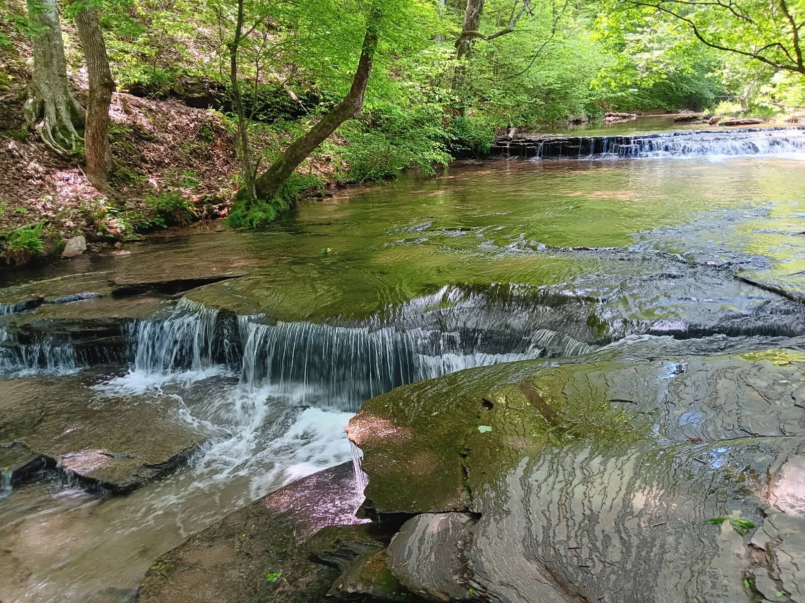 Property Photo:  2073 Choates Creek Rd  TN 38464 