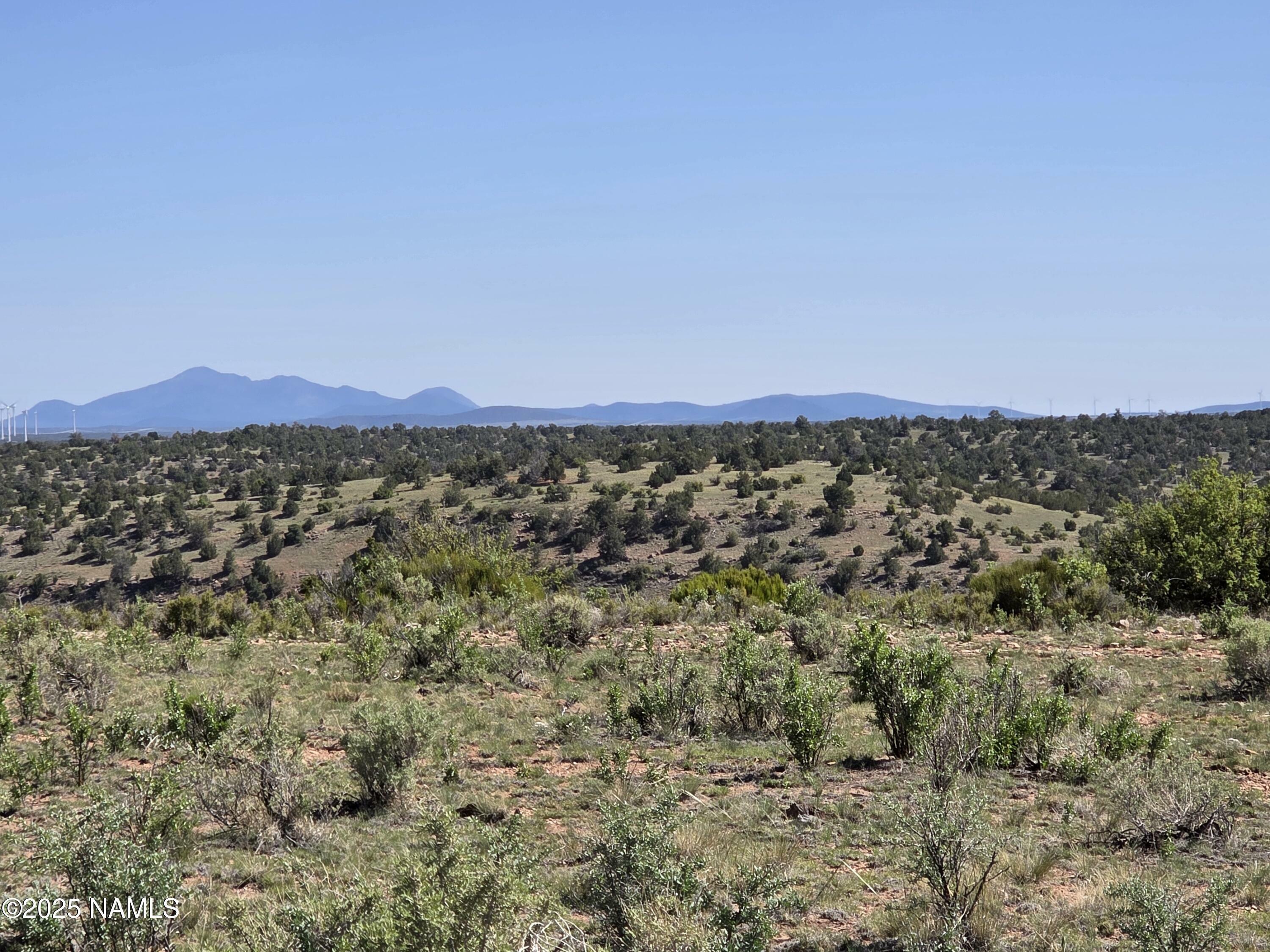 Property Photo:  8175 Sharp Knife Road  AZ 86046 