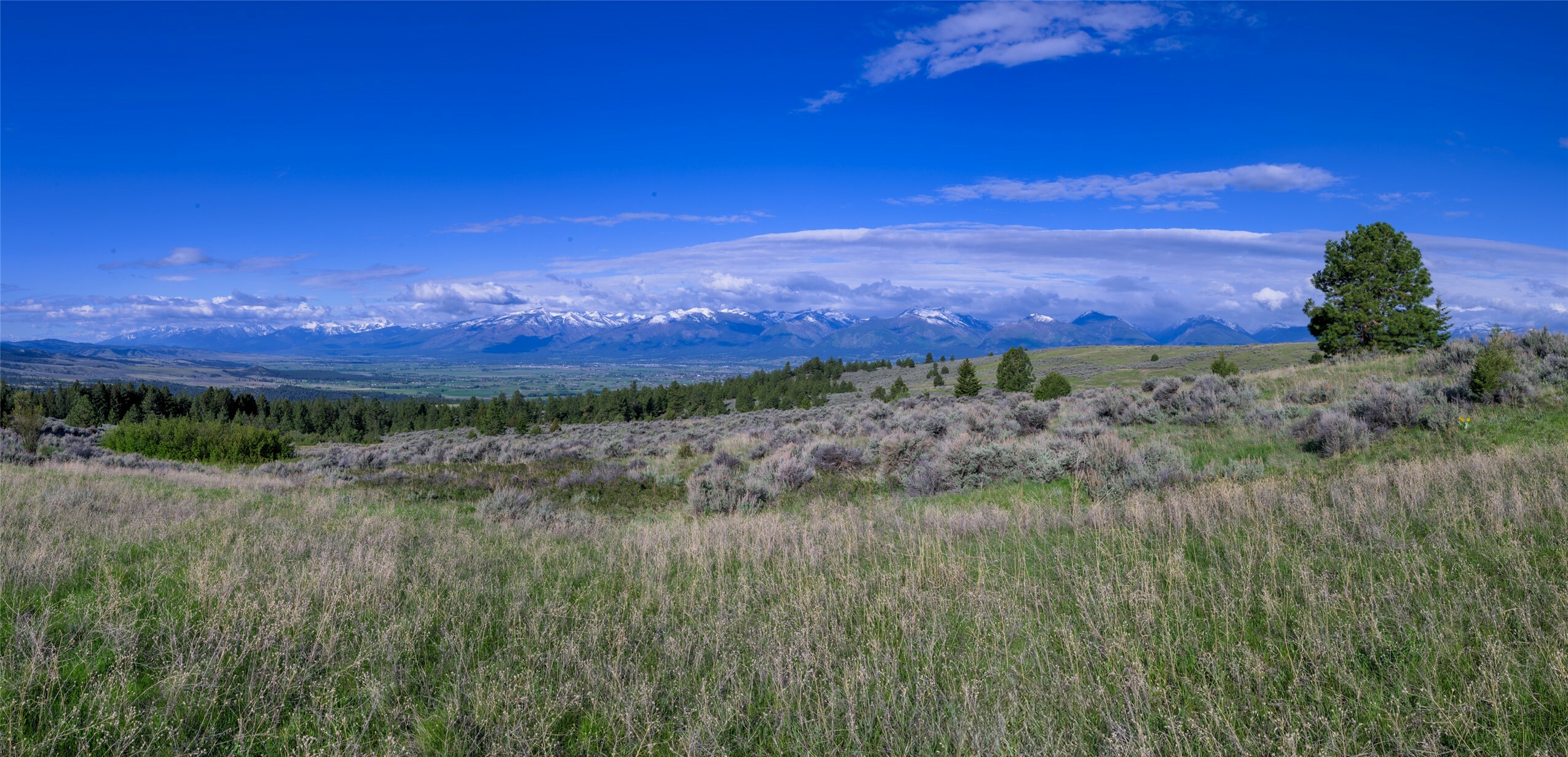 Property Photo: Lot D Soft Rock Road MT 59828