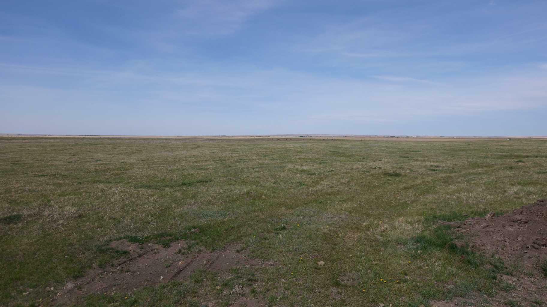 Property Photo: Vulcan County AB T0L 2B0