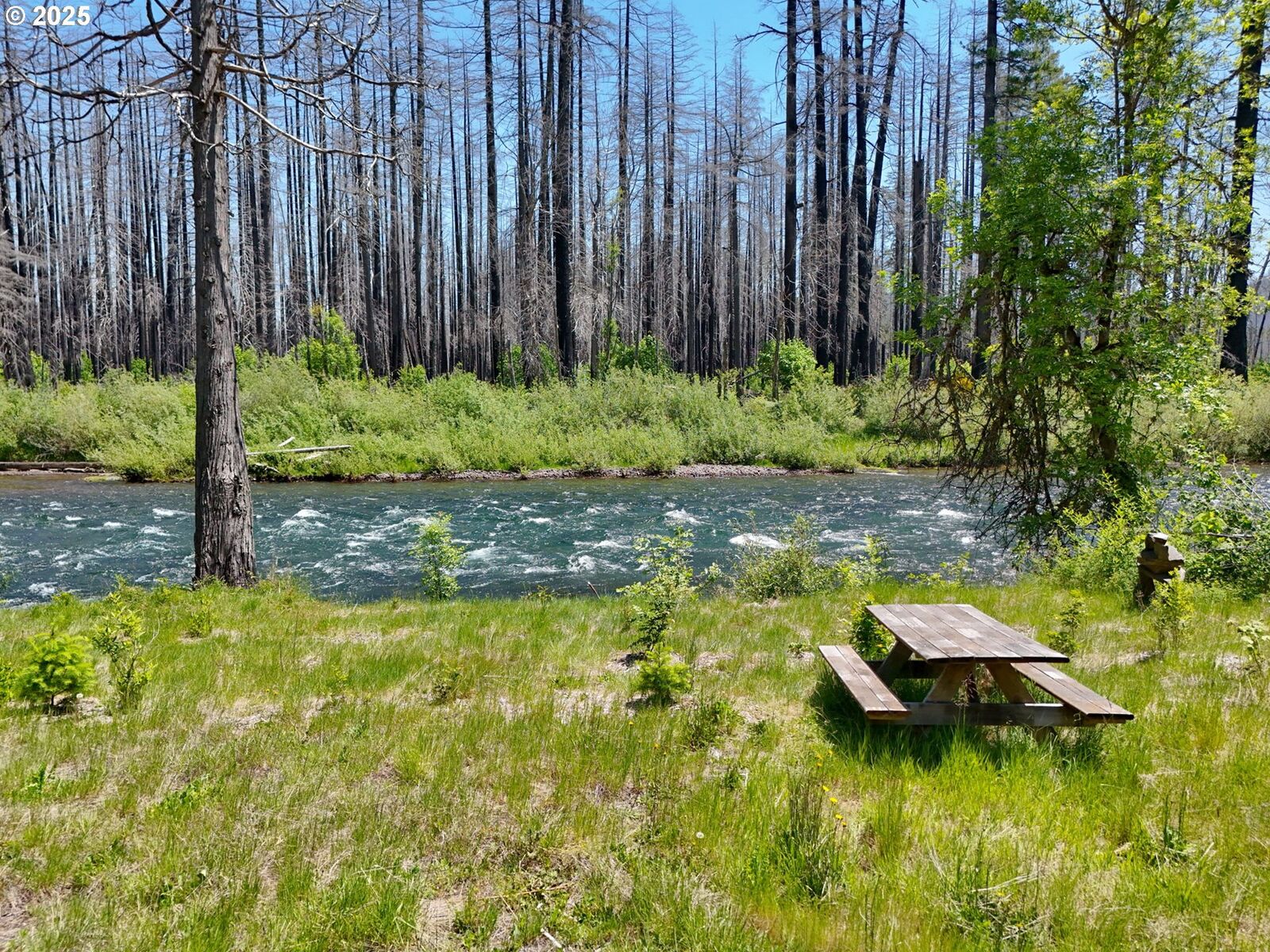 Property Photo: 52984 McKenzie Hwy OR 97413