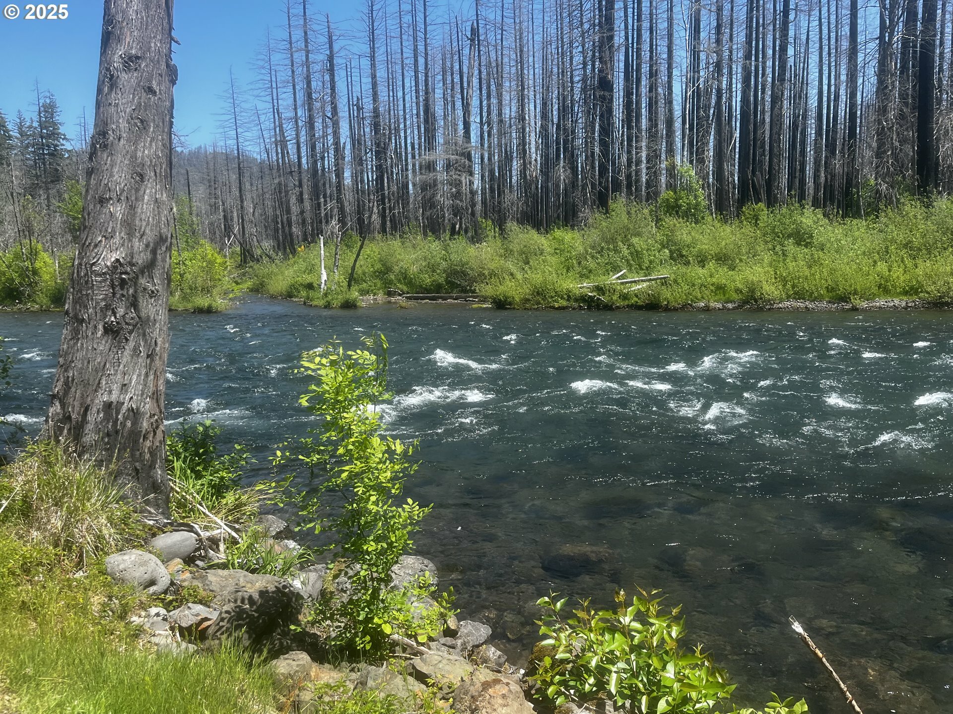 Property Photo: 52984 McKenzie Hwy OR 97413