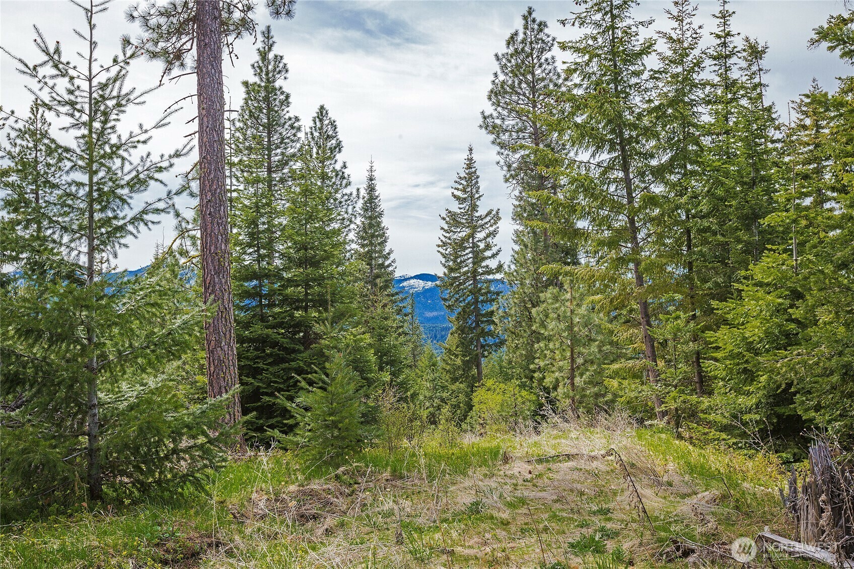 0 Lot H  R&R Heights Drive  Roslyn WA 98941 photo